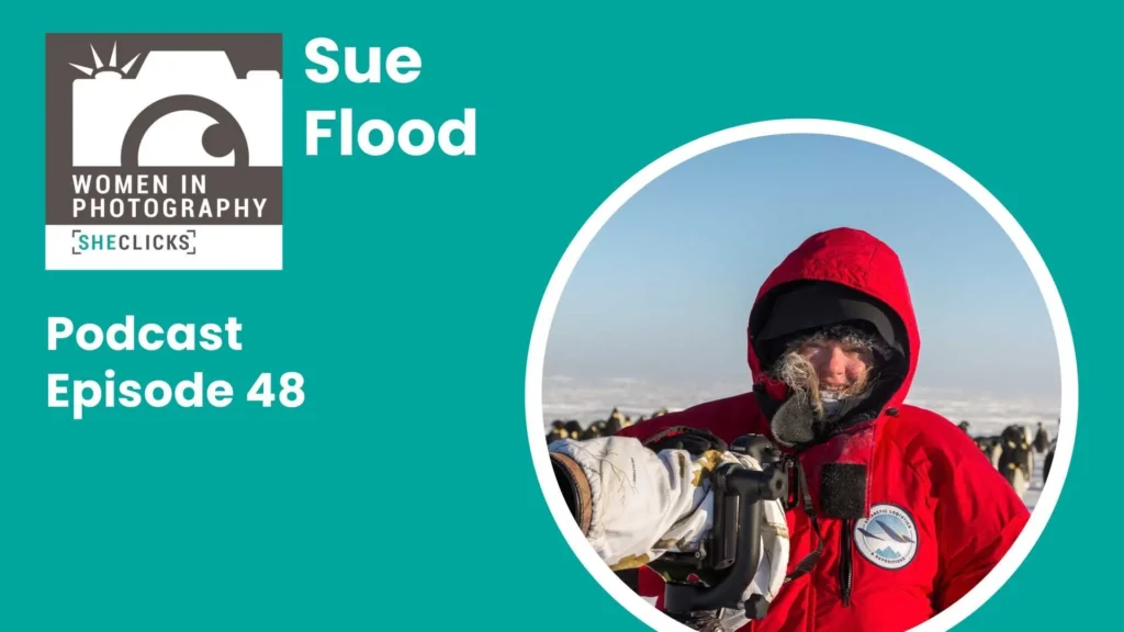 Sue Flood: How Persistence Led to a Career in Wildlife Filmmaking and Photography