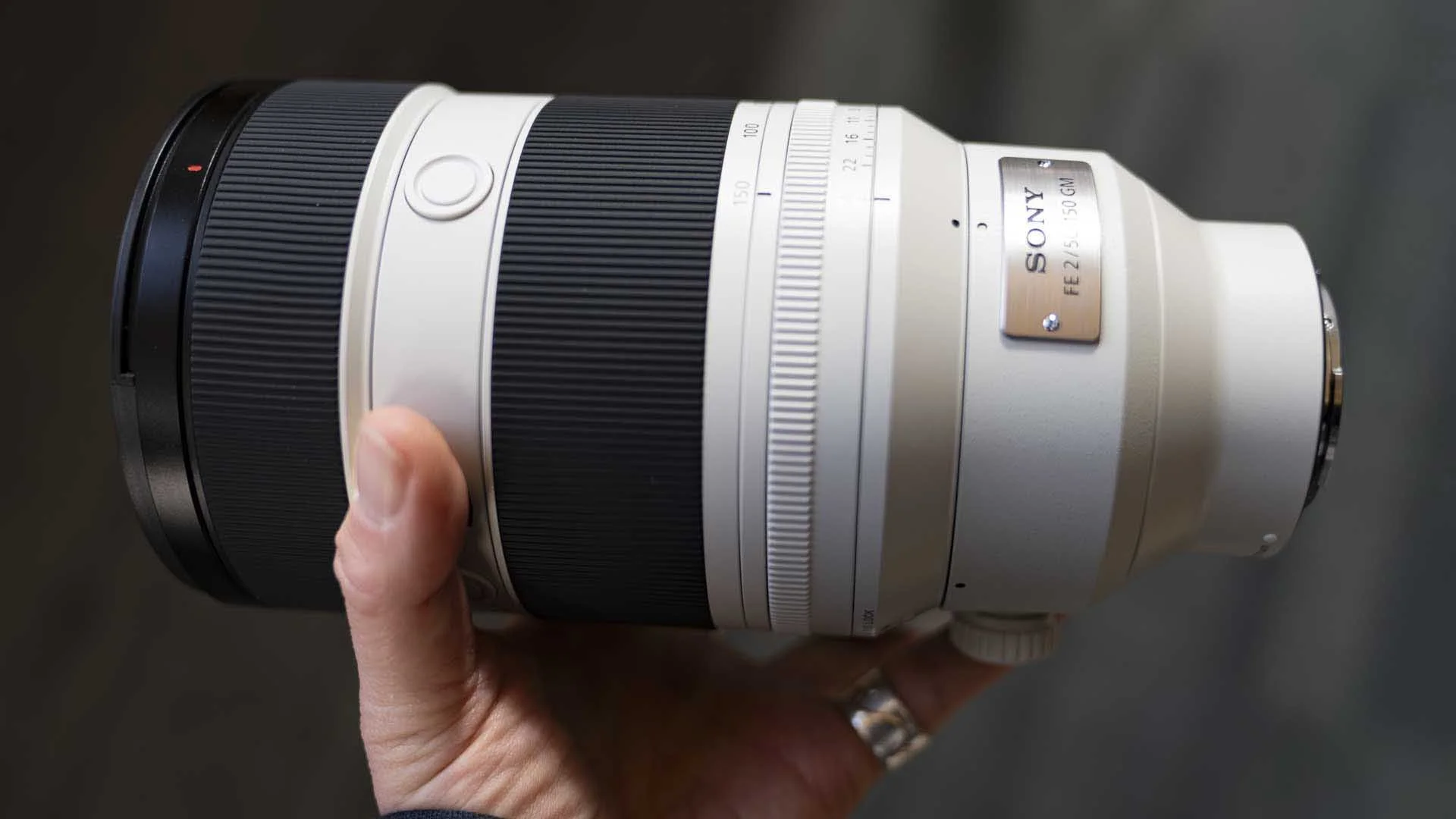 Sony FE 50-150mm F2.0 GM Hands-on Review - SheClicks
