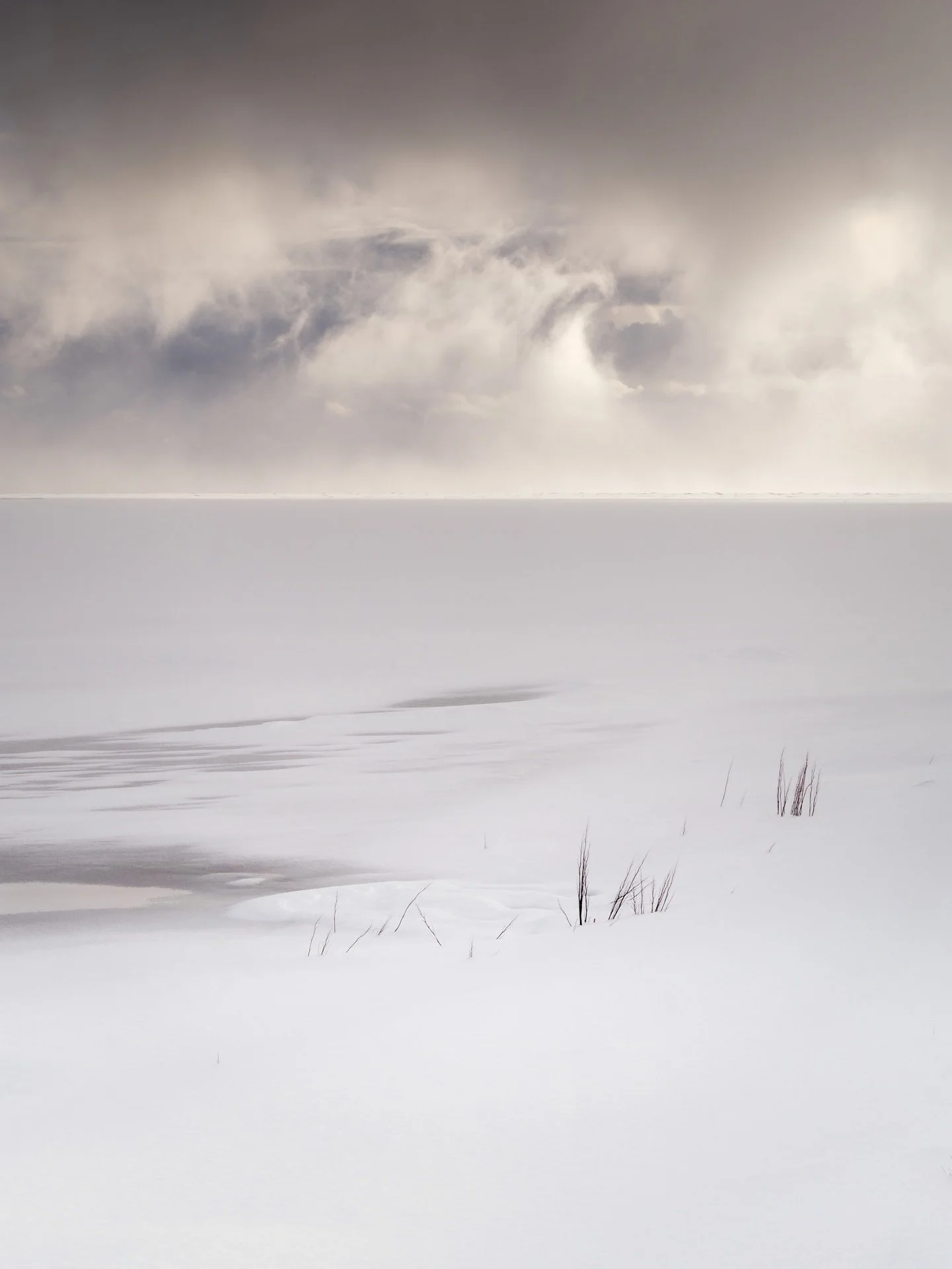 Snow-covered landscape with overcast sky and sparse reeds emerging from the snow.