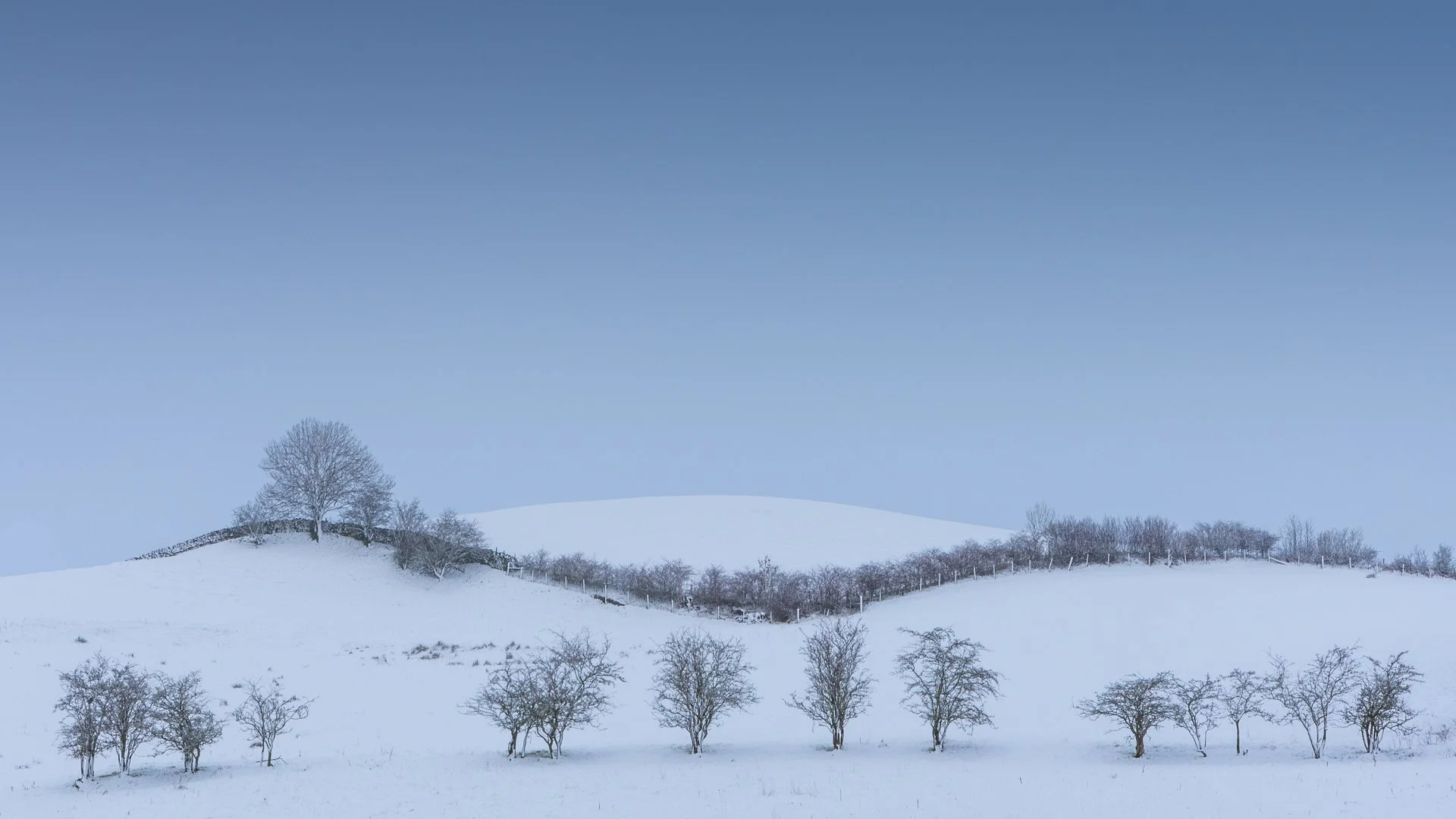 Snowy landscape with bare trees and a blue sky.