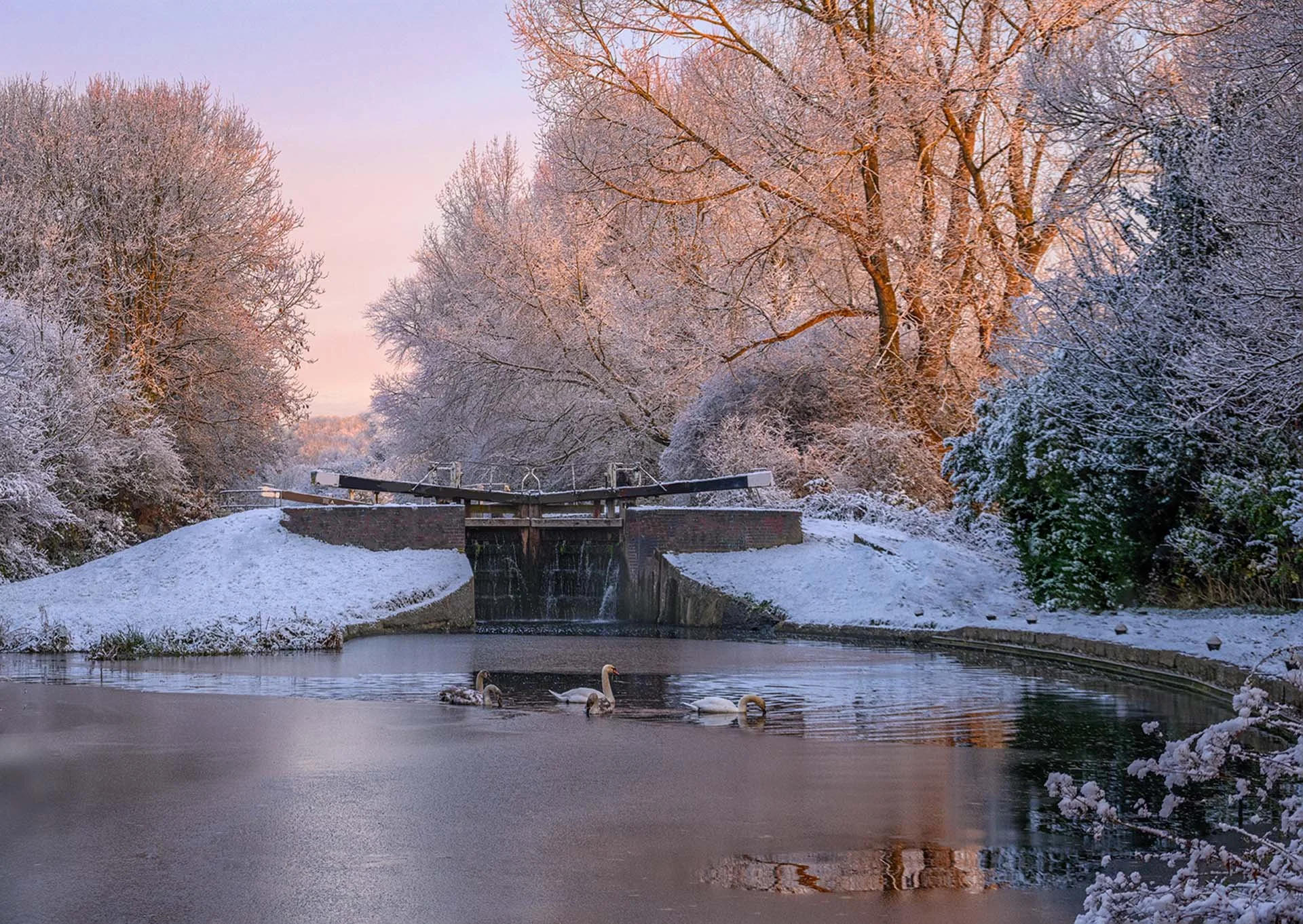 Snowy winter scene with a canal lock, swans swimming, and frosted trees on either side.