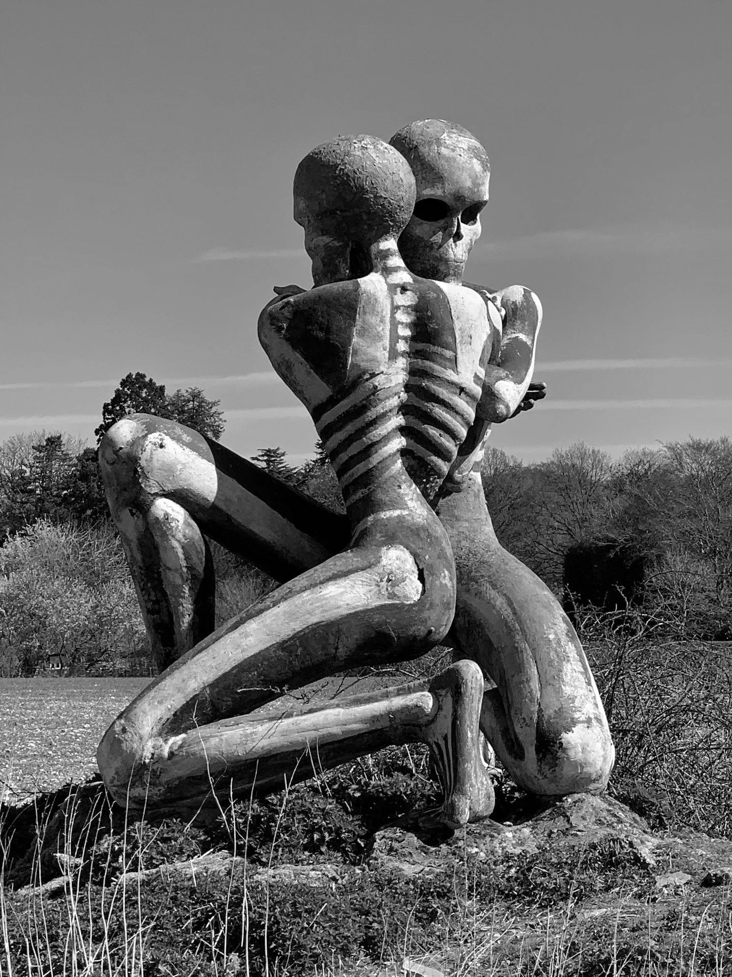 Two skeleton-themed sculptures embracing, set outdoors in a grassy area with trees in the background, captured in black and white.