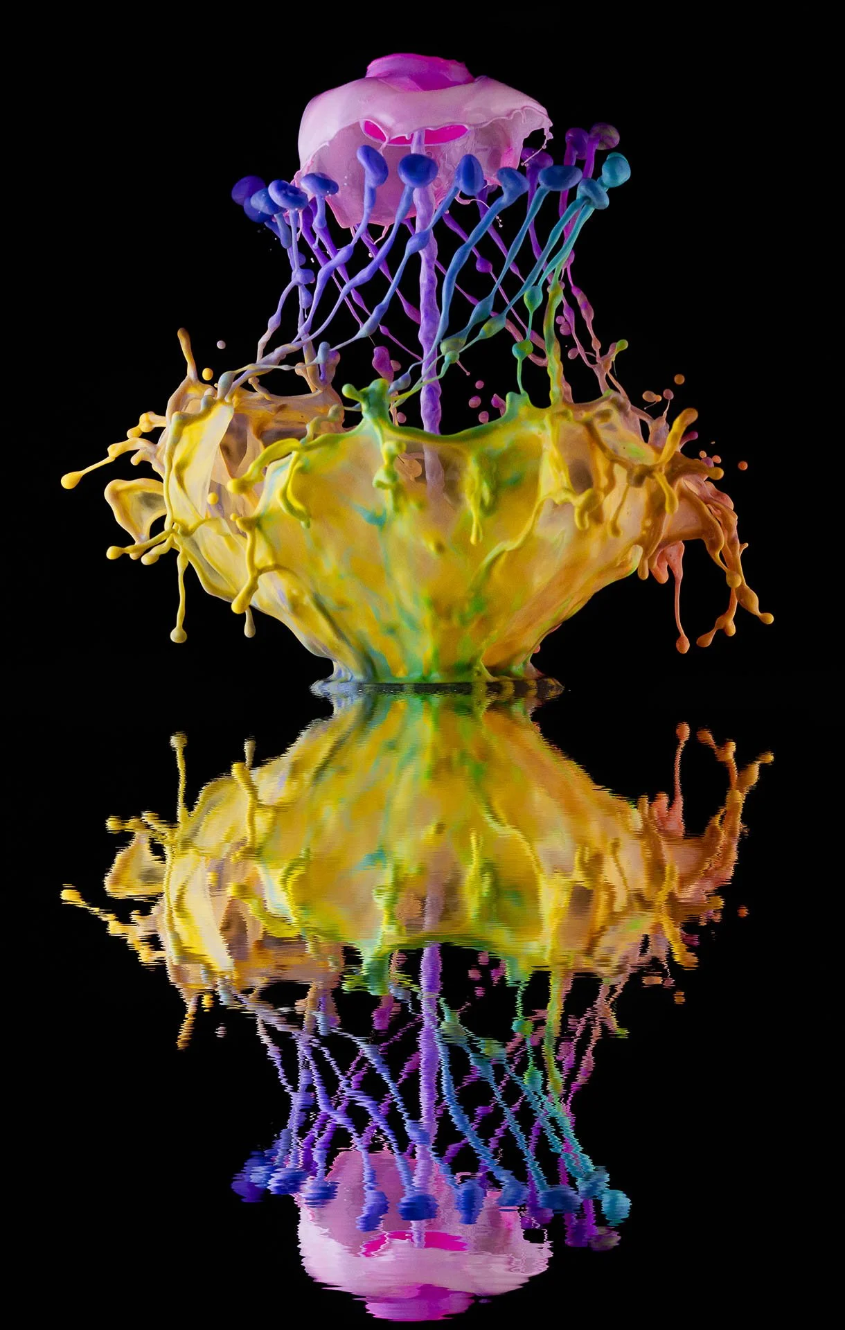 Colorful liquid splash art resembling a jellyfish with a reflection on a black background