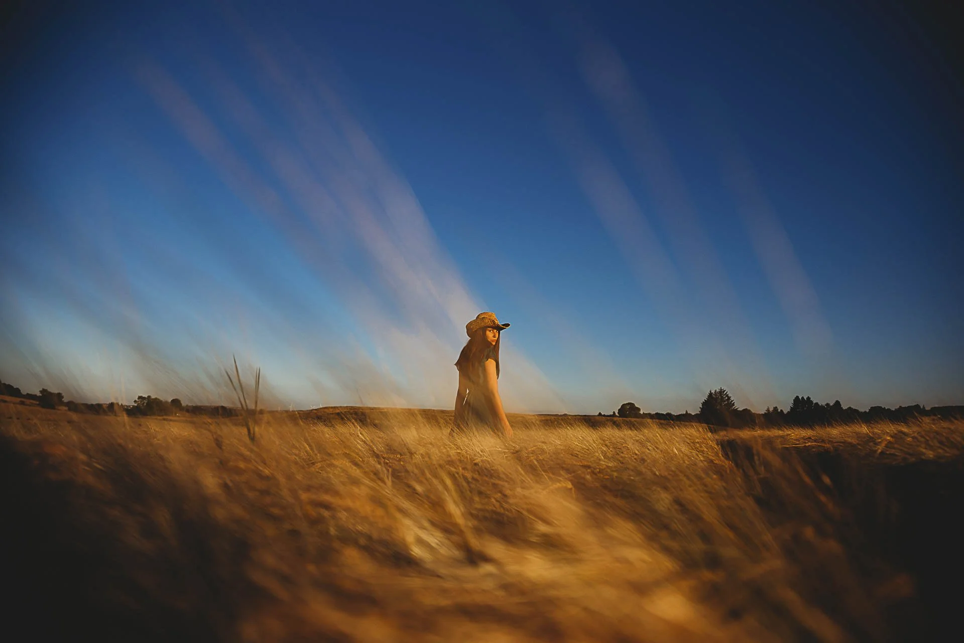Person wearing a hat standing in a field of tall grass with a clear blue sky and dramatic cloud streaks.