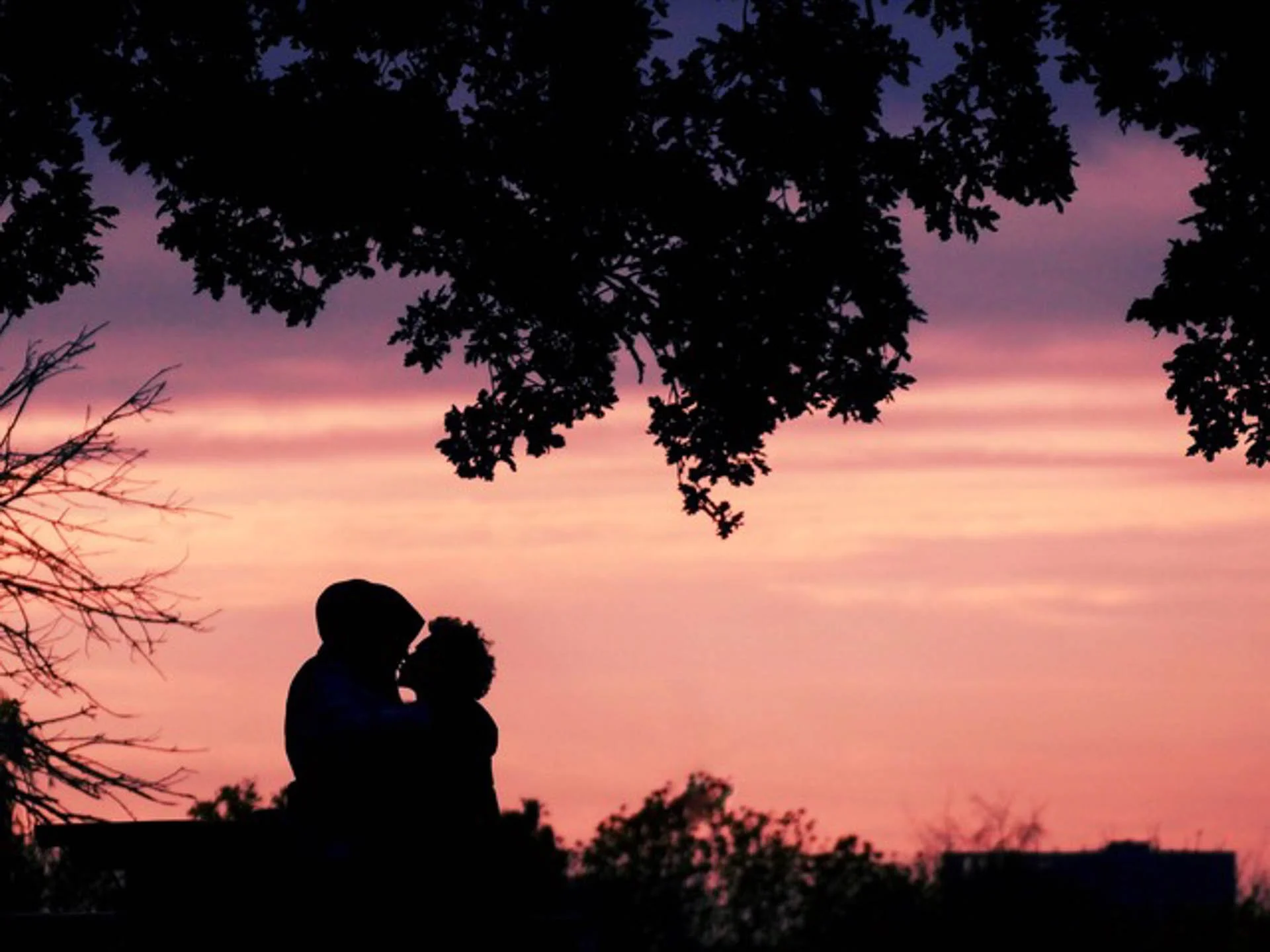 Silhouette of a couple kissing under tree branches at sunset.