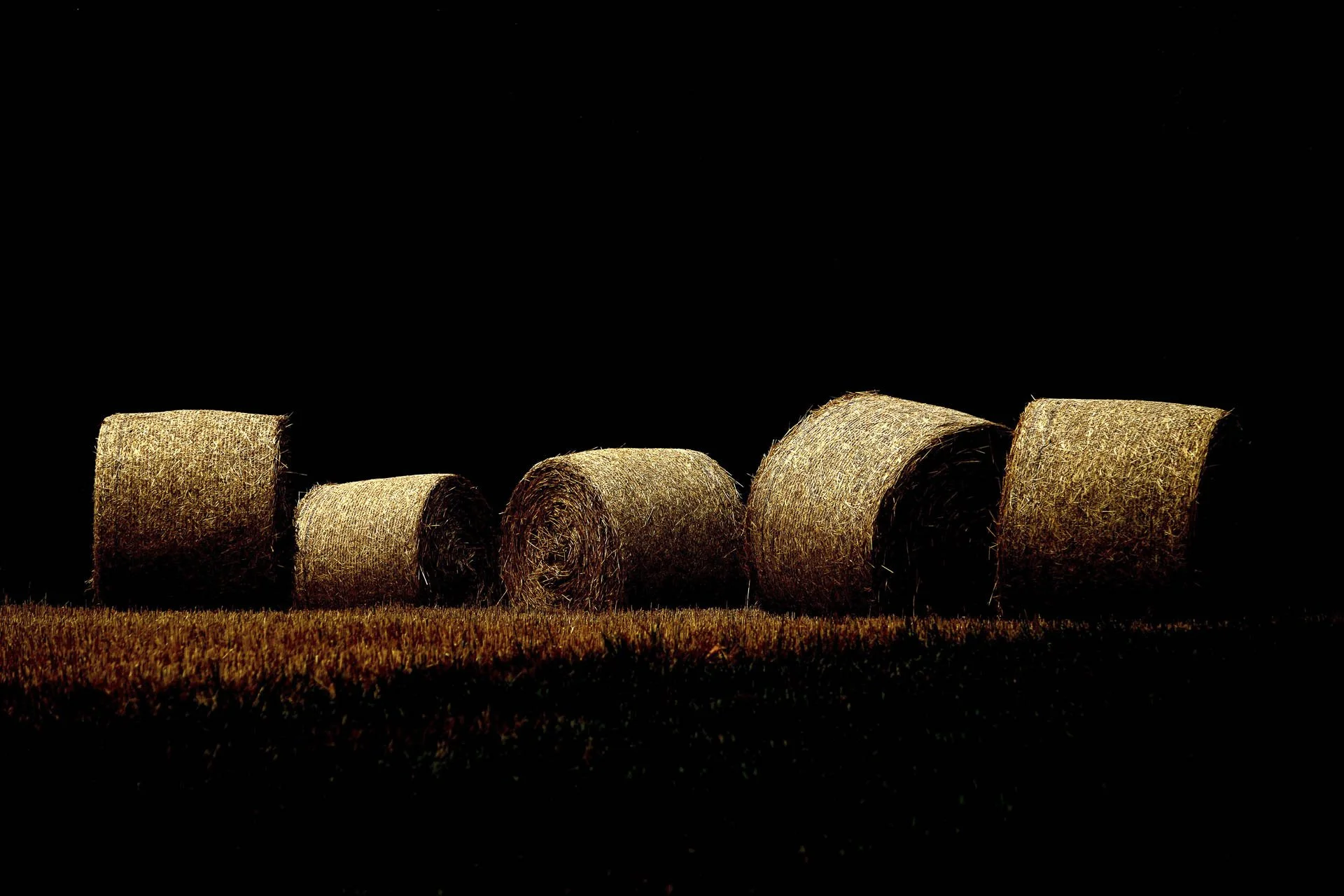 Round hay bales on a dark background.