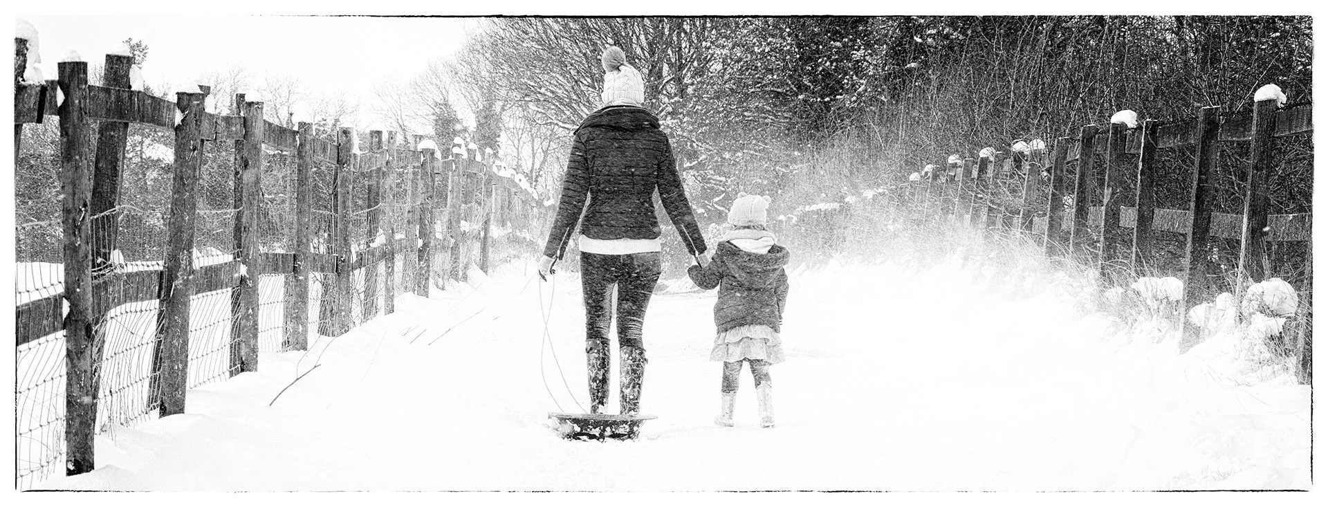 Monochrome image of an adult and child walking in snow, holding hands. The adult pulls a sled along a snowy path lined with fences and trees.