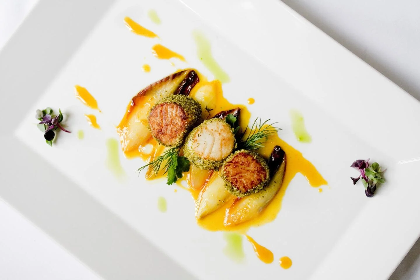 Plated gourmet dish with seared scallops, sauce, and microgreens on a white rectangular plate.