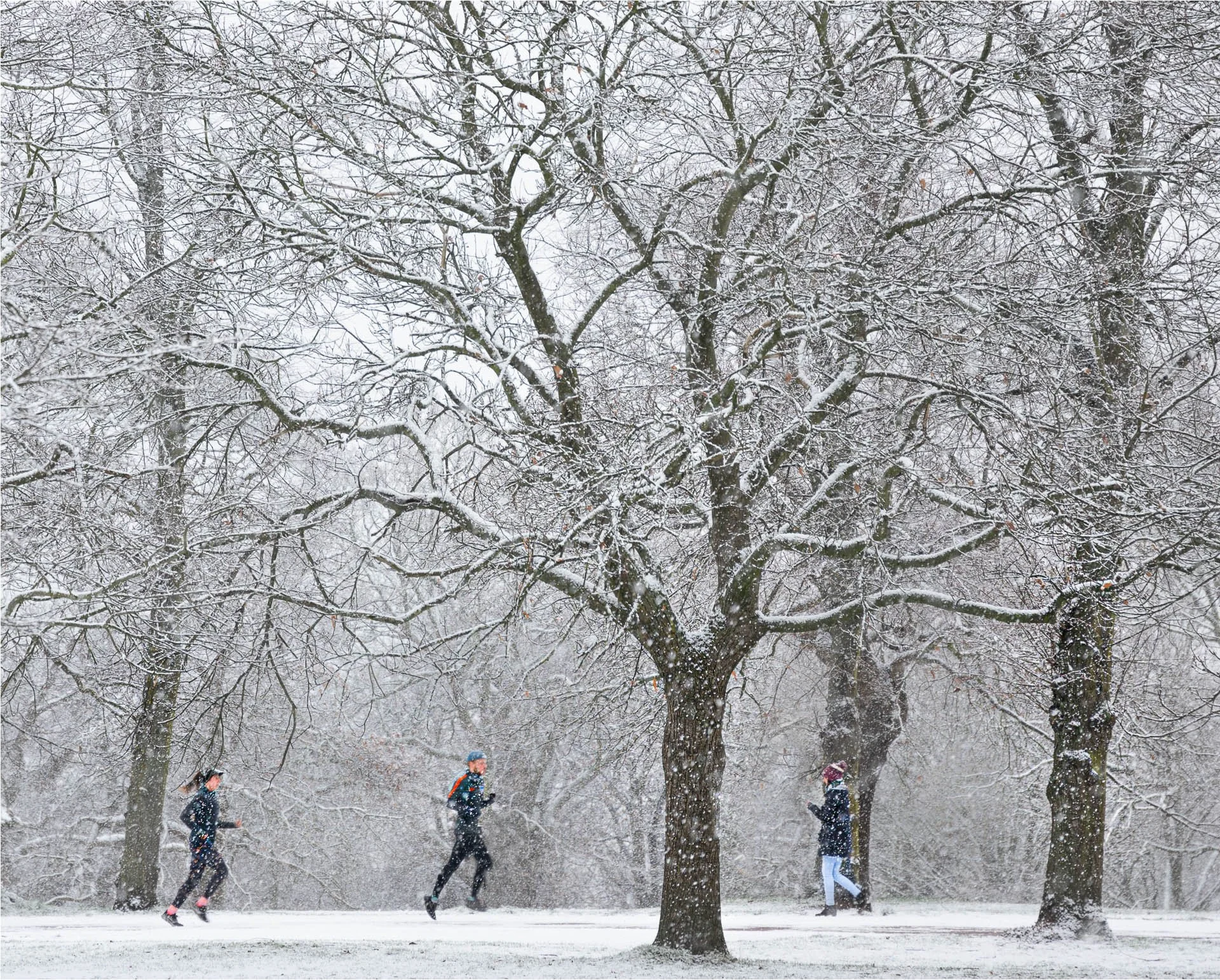 Three people walking in a snowy park surrounded by leafless trees