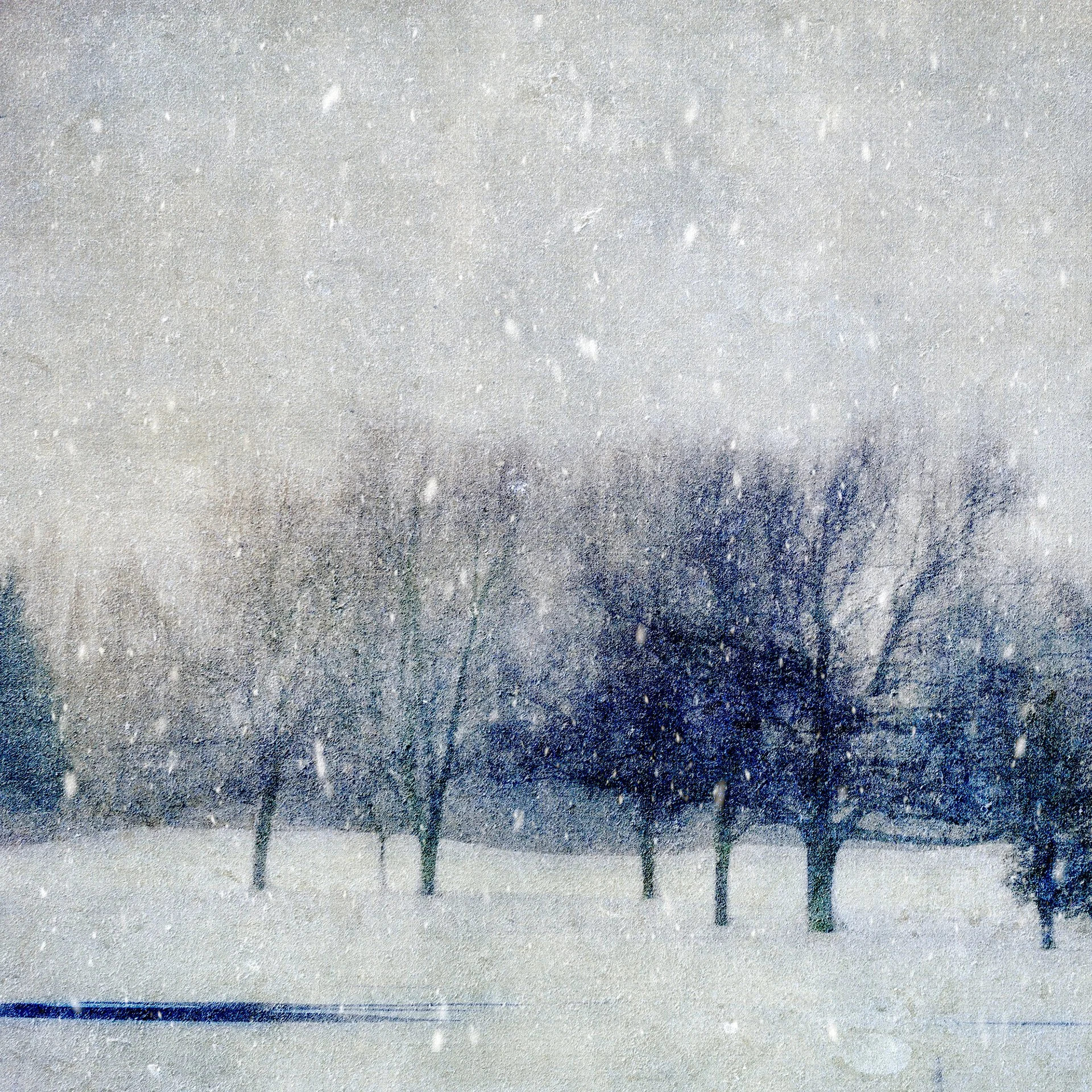 Winter landscape with snow falling on trees in a field