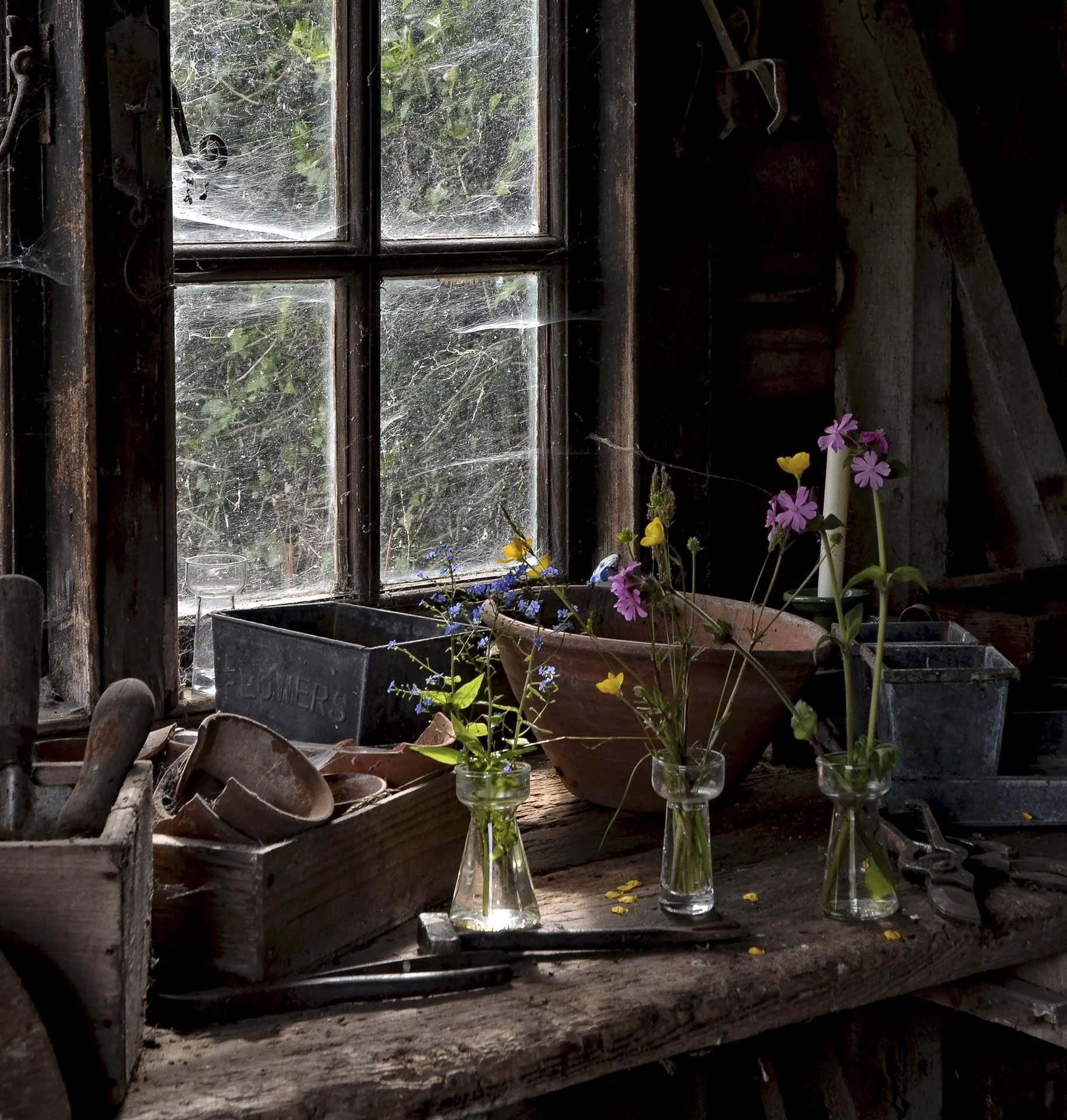 A rustic wooden window with cobwebs overlooks a garden. Inside, a wooden workbench displays small glass vases with wildflowers, gardening tools, and terracotta pots.