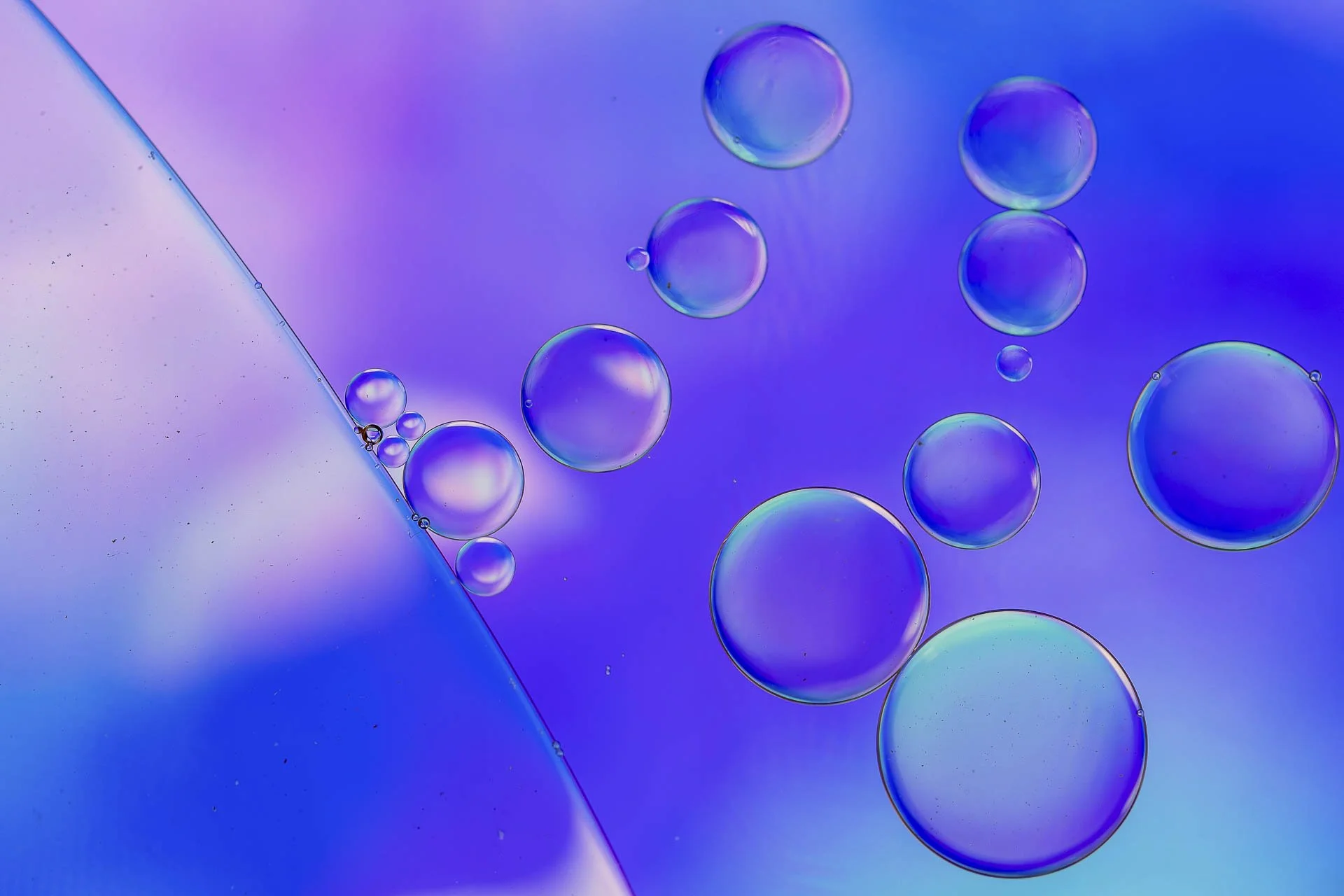 Abstract image of oil droplets on a purple and blue background.