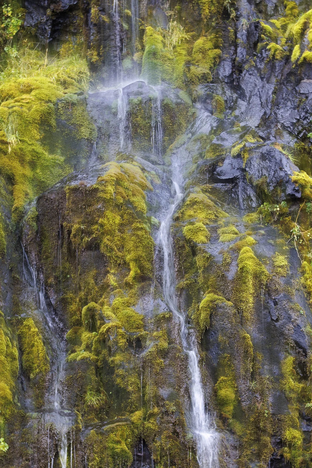 Moss-covered rocks with a small waterfall cascading down