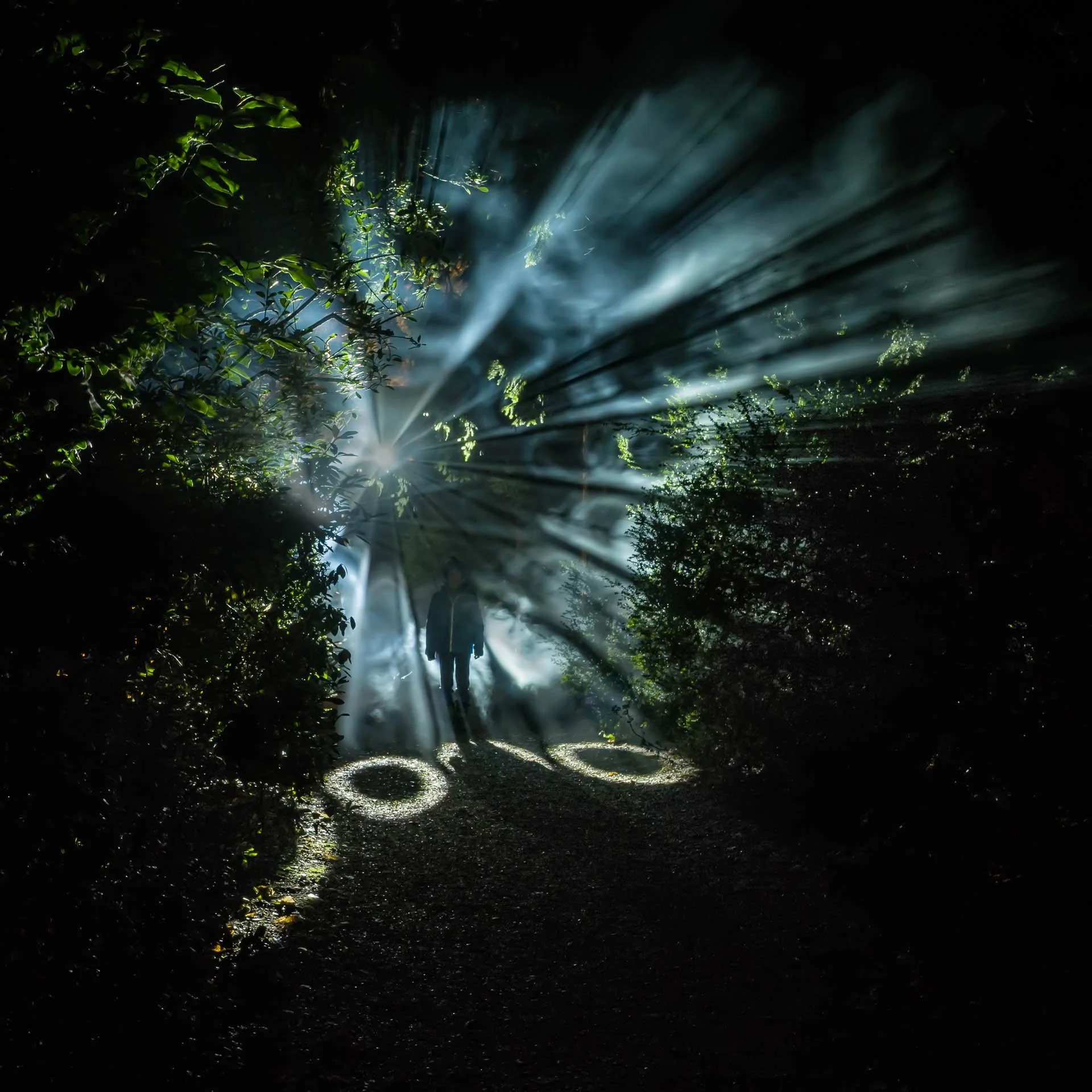 Silhouette of a person walking in a forest with dramatic light rays filtering through trees.