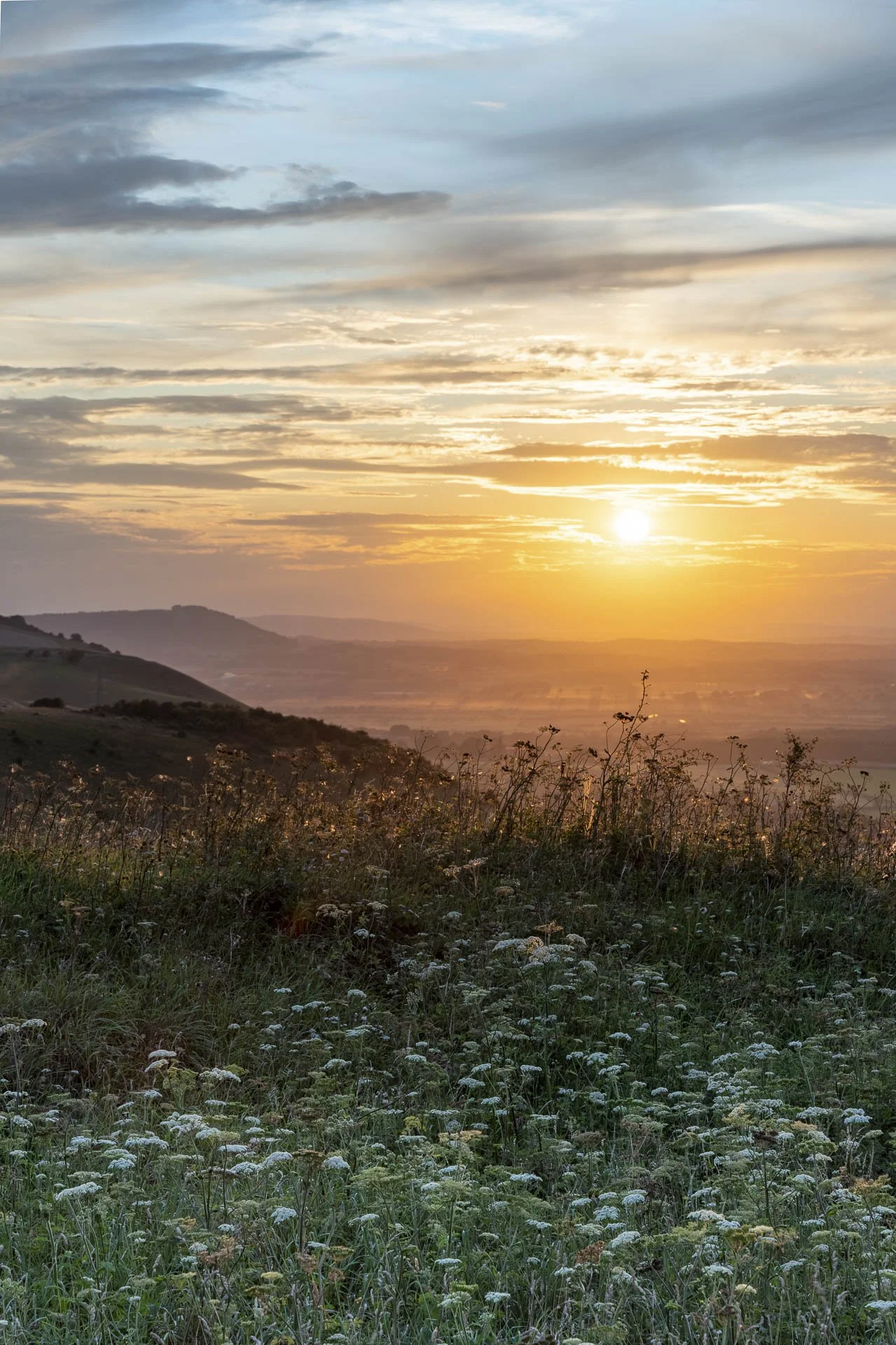 Sunset over a scenic landscape with wildflowers in the foreground and mountains in the background.