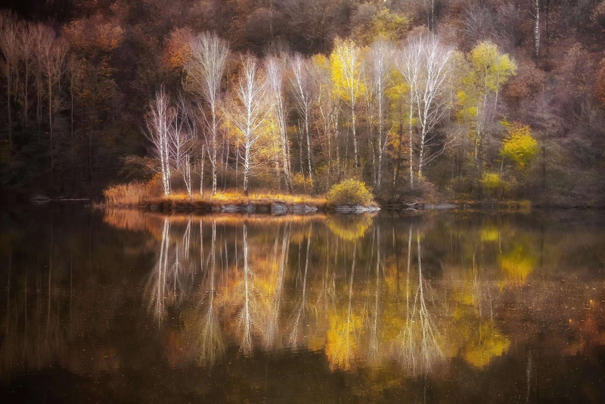 Autumn trees reflected in a calm lake