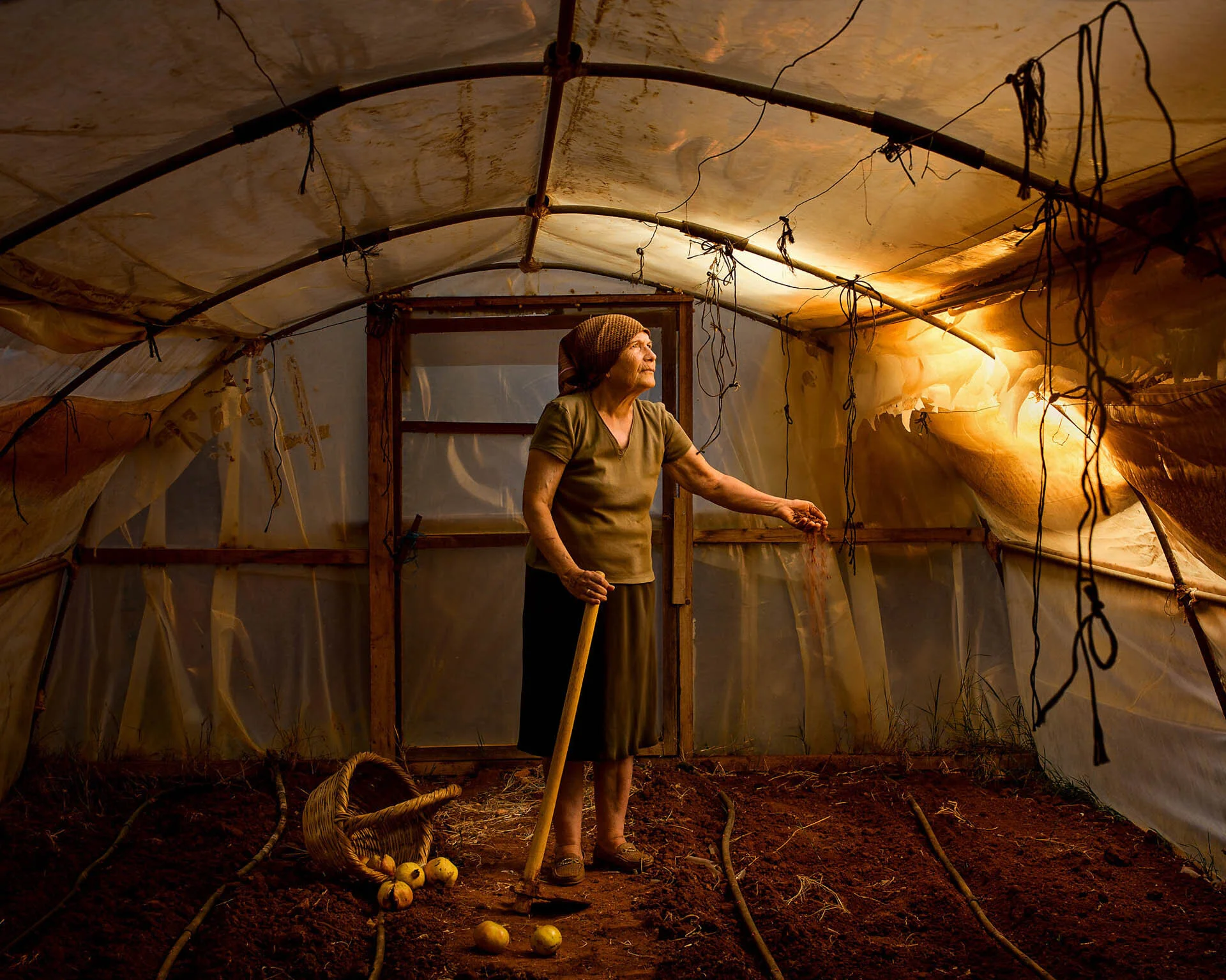 Elderly woman standing in a dimly lit greenhouse, holding a stick, with a wicker basket and a few apples on the ground.