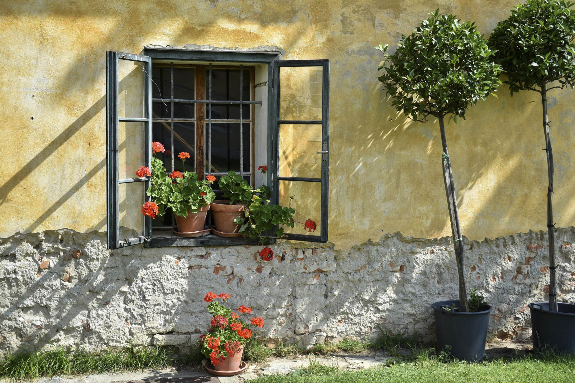 Open window with flower pots and trees against a textured yellow wall