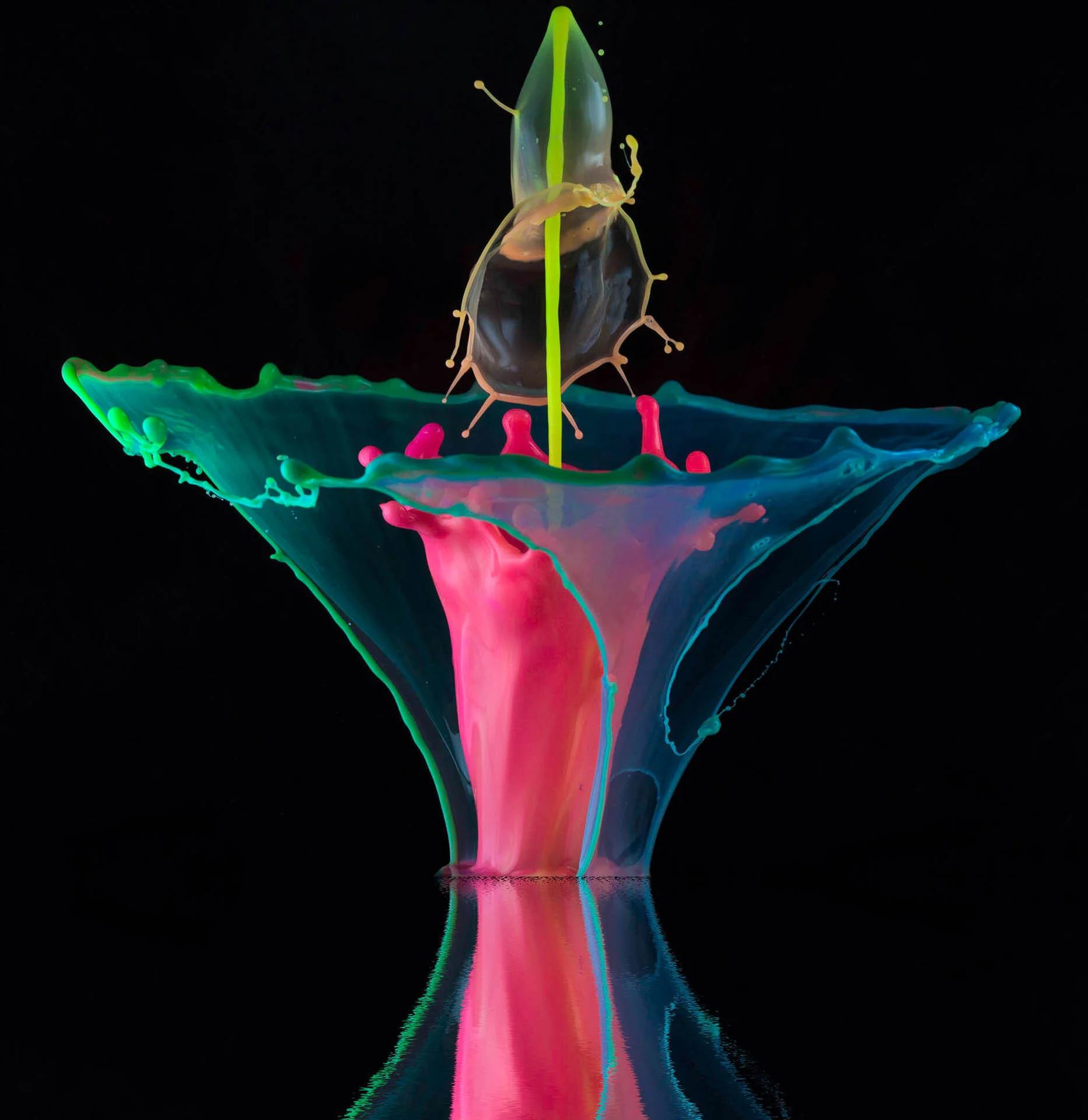 Close-up of a colorful liquid splash captured mid-motion, creating an artistic, abstract shape against a black background.