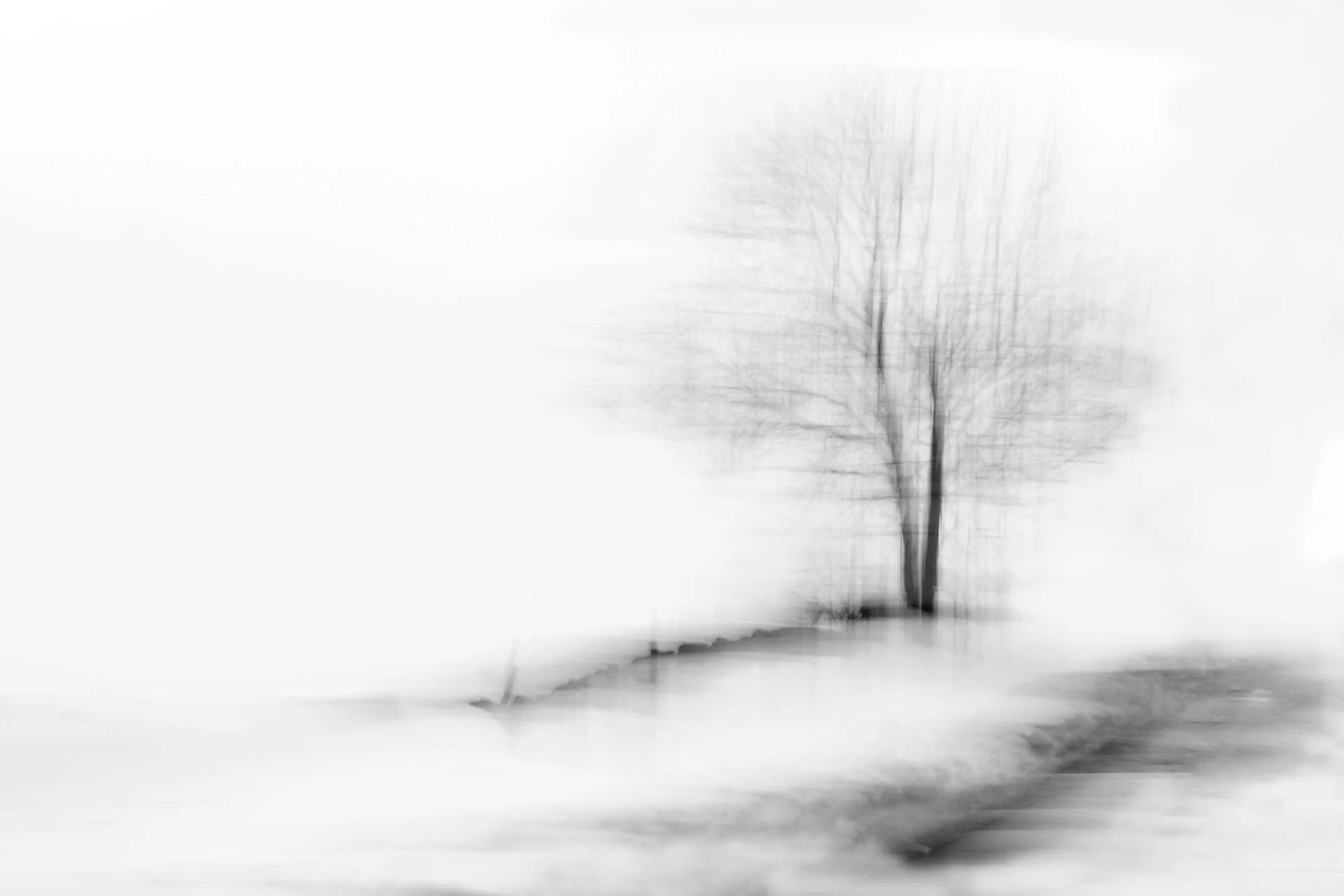 Minimalist black and white photo of a bare tree on a snowy landscape with motion blur effect.