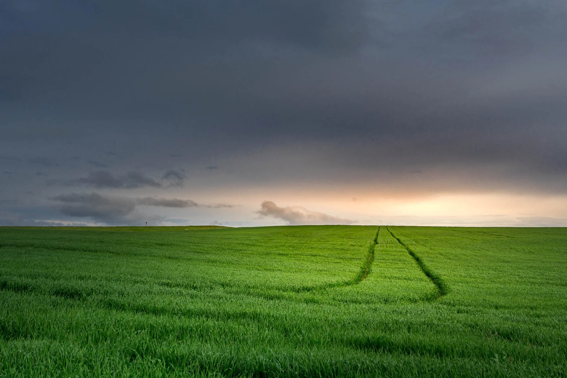 Green field under cloudy sky with sunlight on the horizon