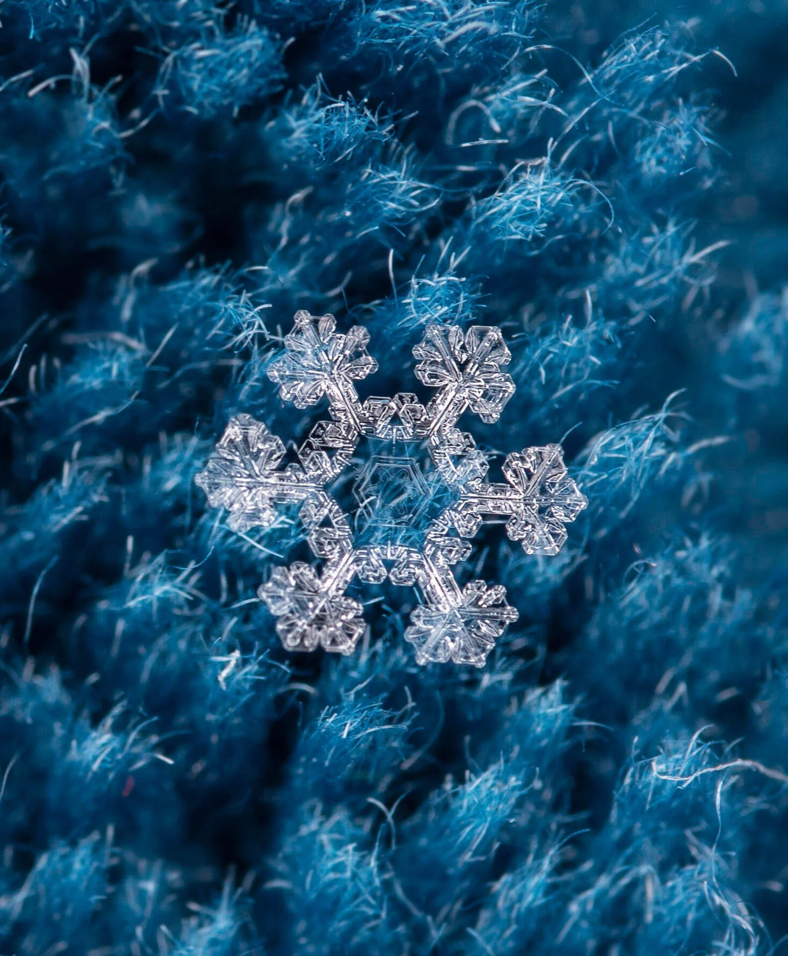 Close-up of a detailed snowflake resting on a textured blue fabric surface.