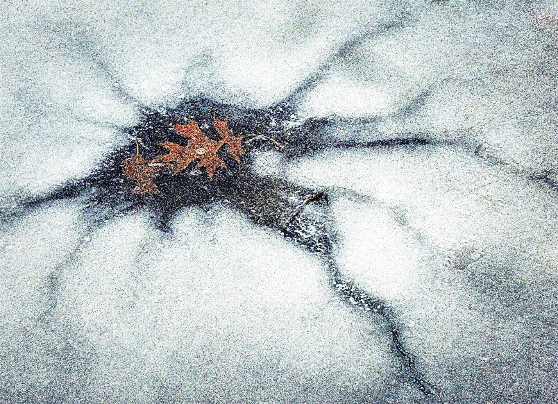 Cracked ice surface with fallen brown leaves in the center