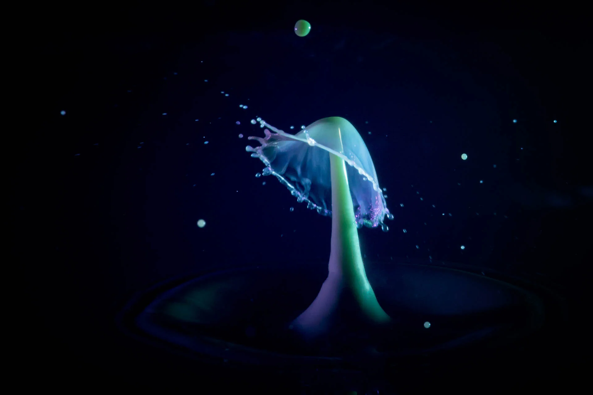 Artistic water splash photography resembling a mushroom shape with colored lighting against a dark background.