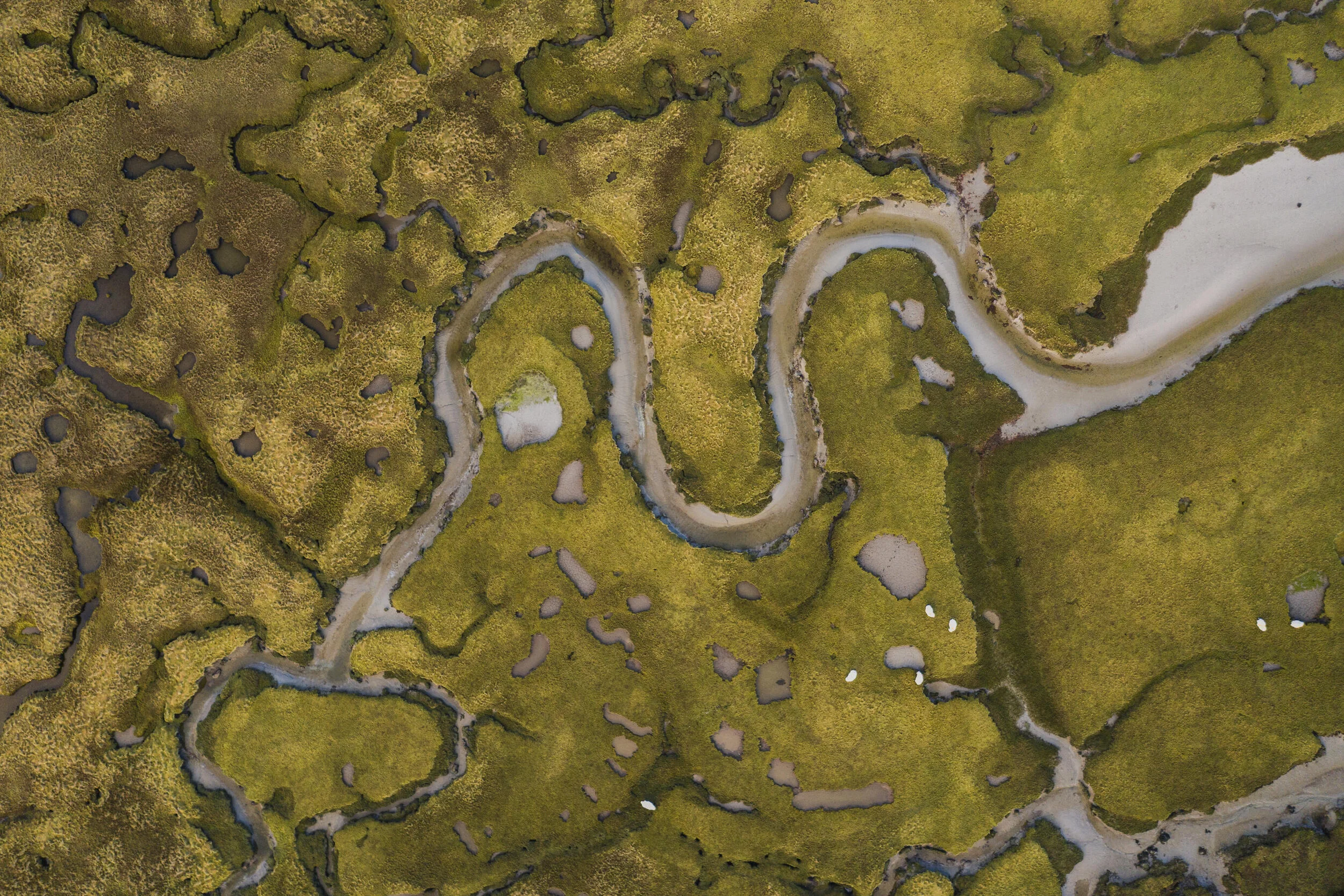 Aerial view of a winding river through a grassy marshland with scattered pools of water.