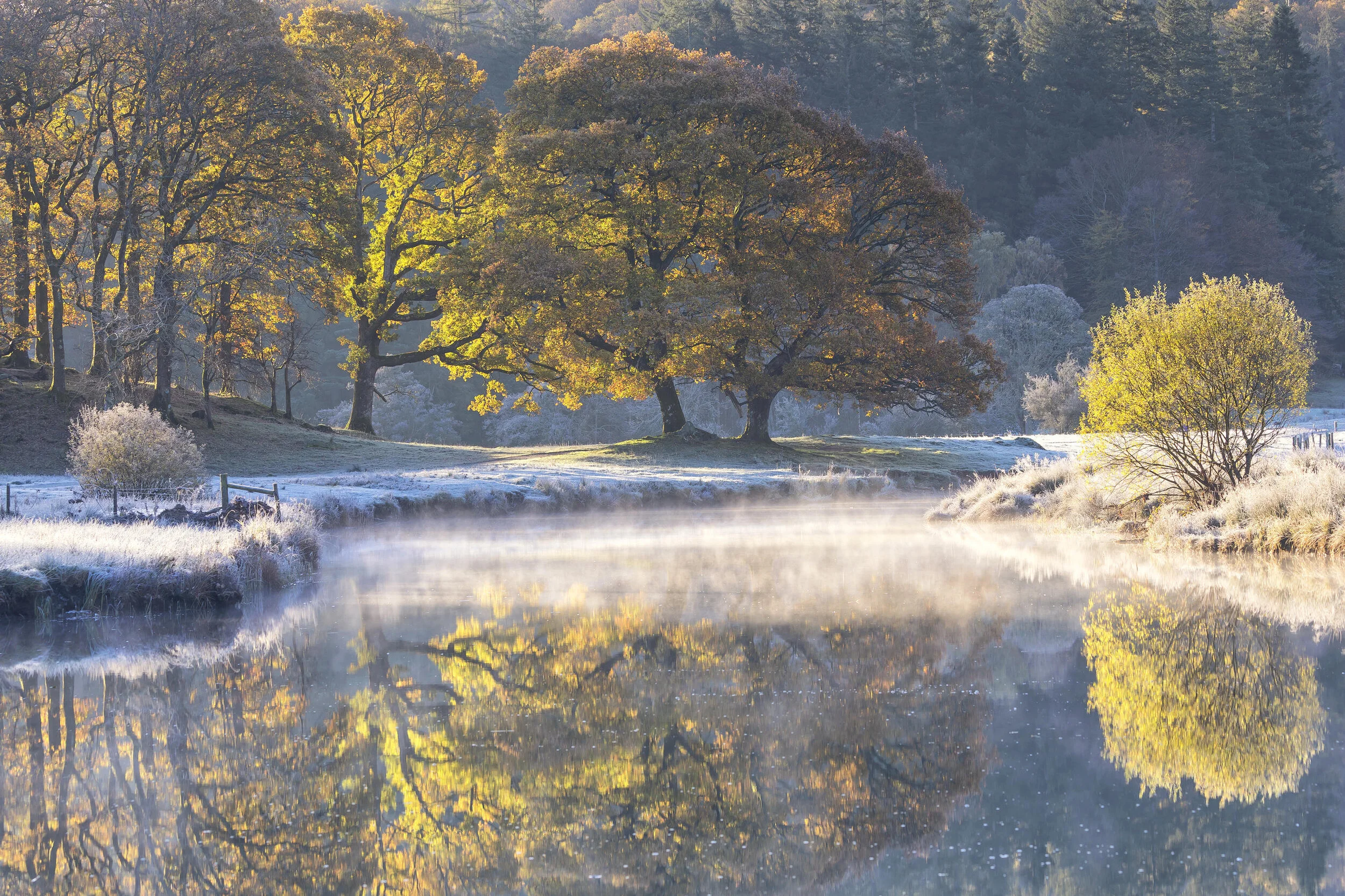 Scenic landscape with autumn trees reflecting in a calm lake, surrounded by frosty grass and morning mist.