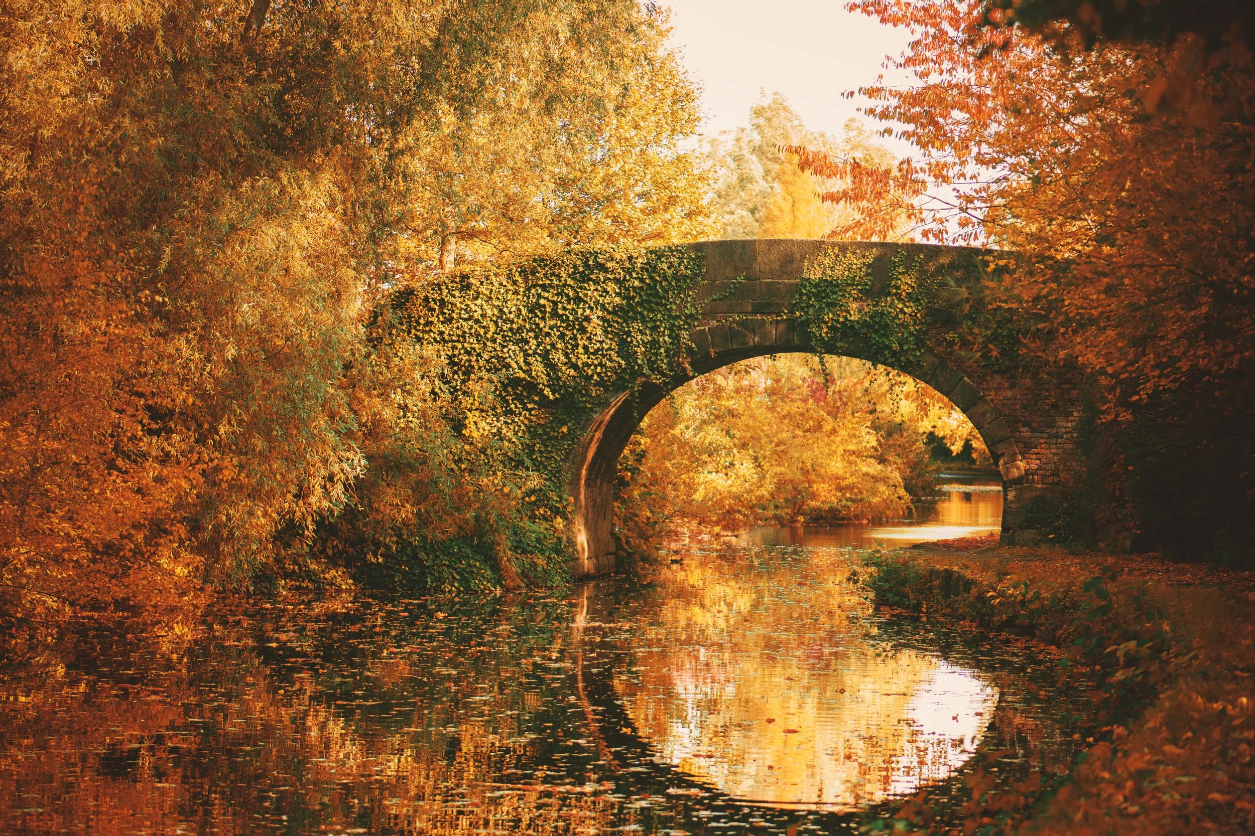 Stone bridge over a river surrounded by trees with fall foliage.