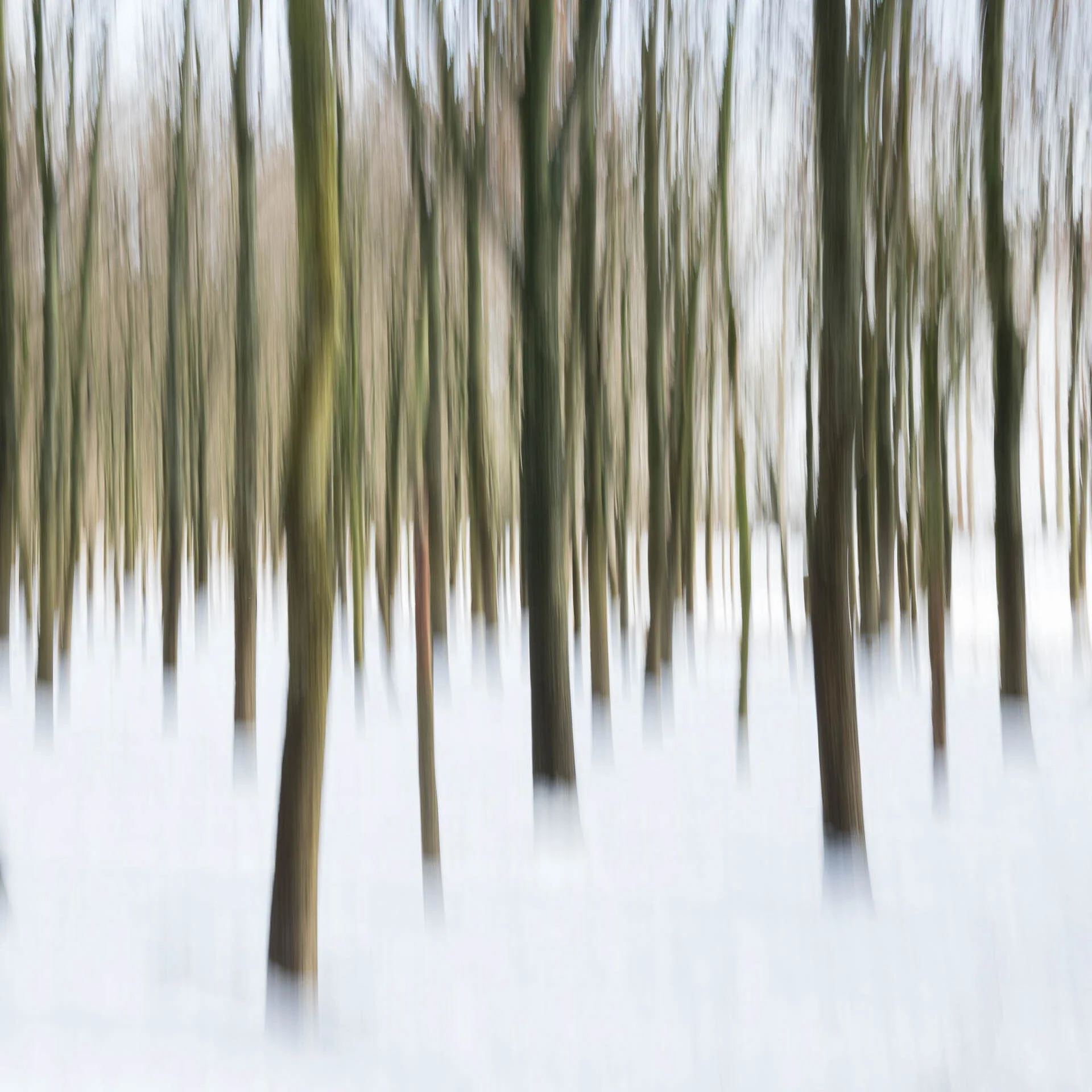 Blurry image of a forest with snow-covered ground and trees with motion blur.