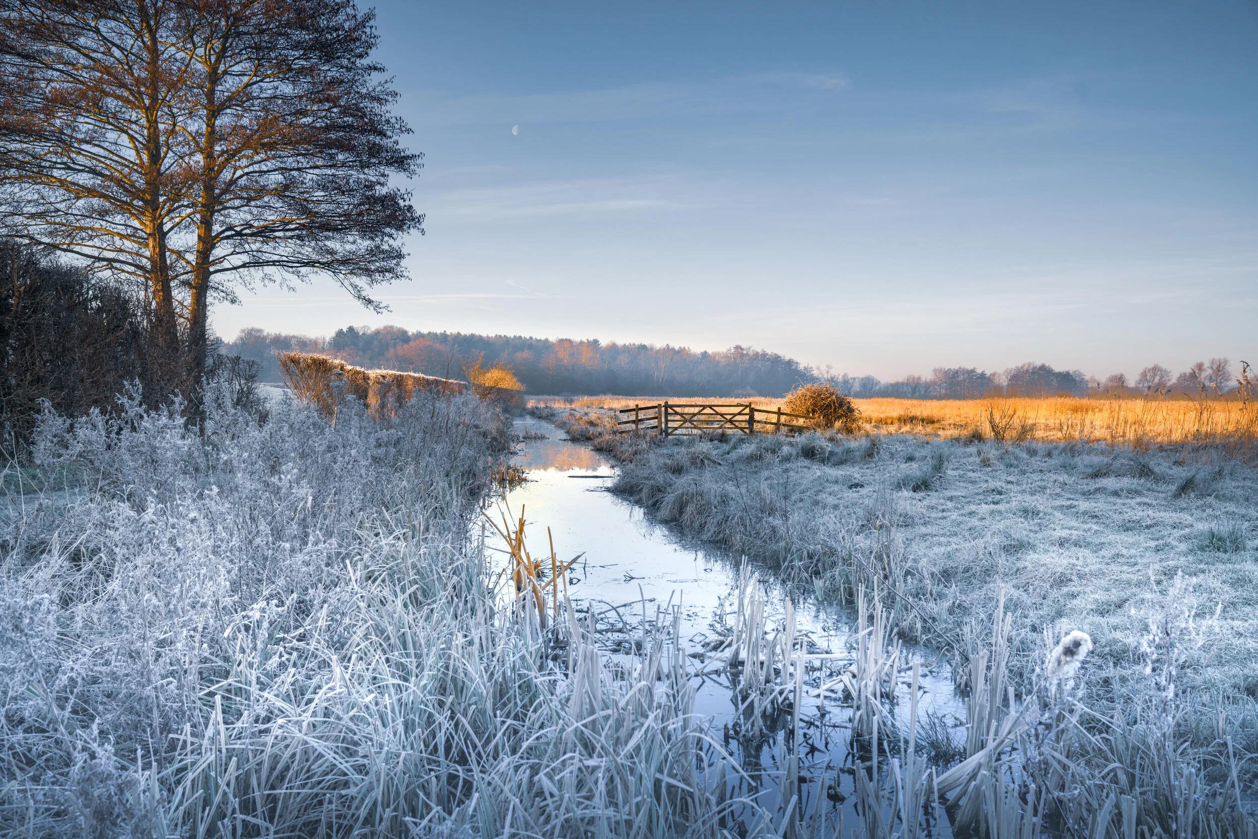 Frost-covered landscape with a stream, trees, and a wooden fence, under a clear sky.
