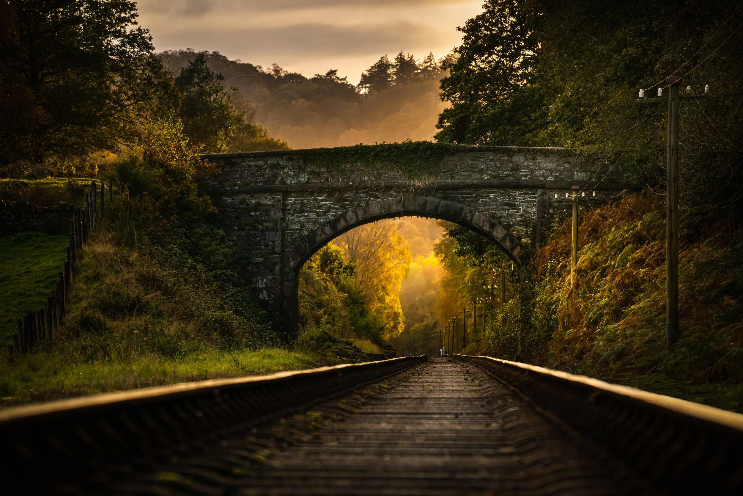 Railroad tracks leading under an arched stone bridge surrounded by lush greenery and trees at sunrise or sunset.