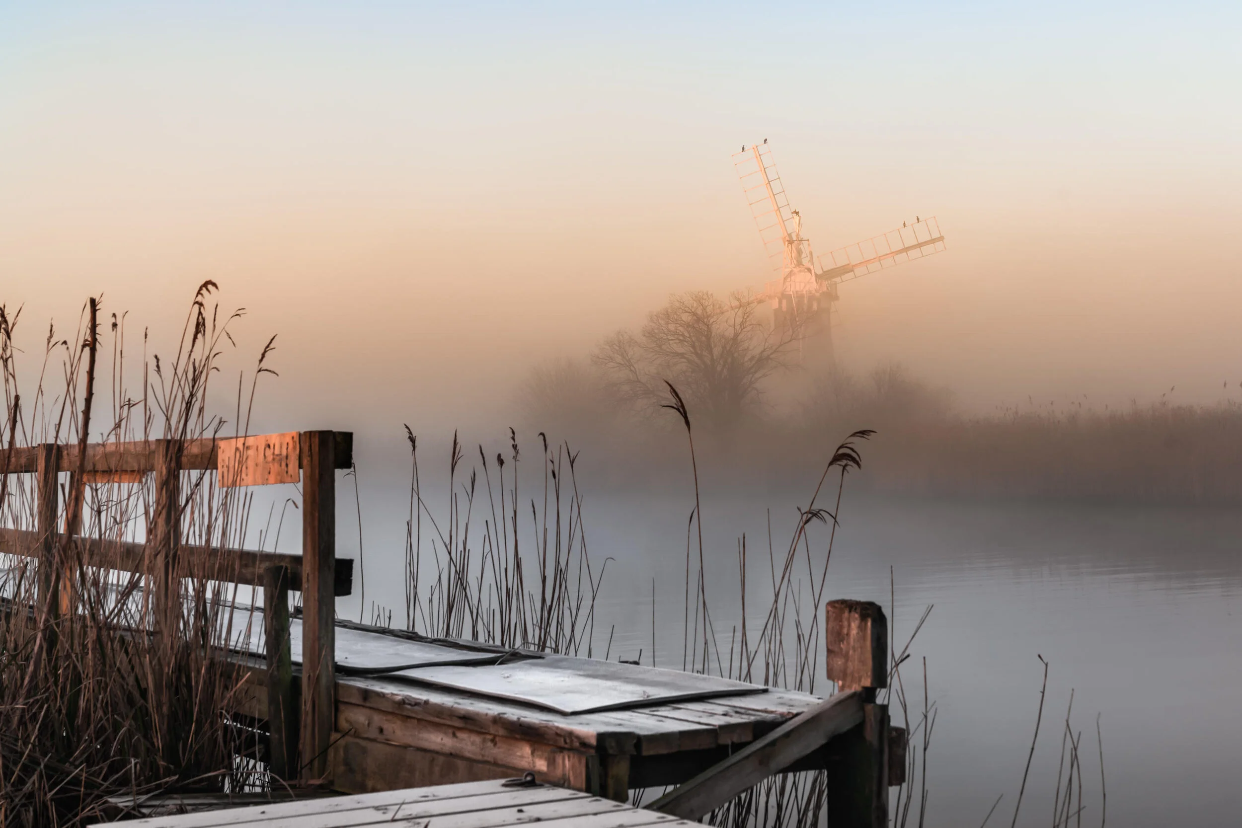 Misty landscape with a wooden dock, tall reeds, and a windmill in the background at sunrise.