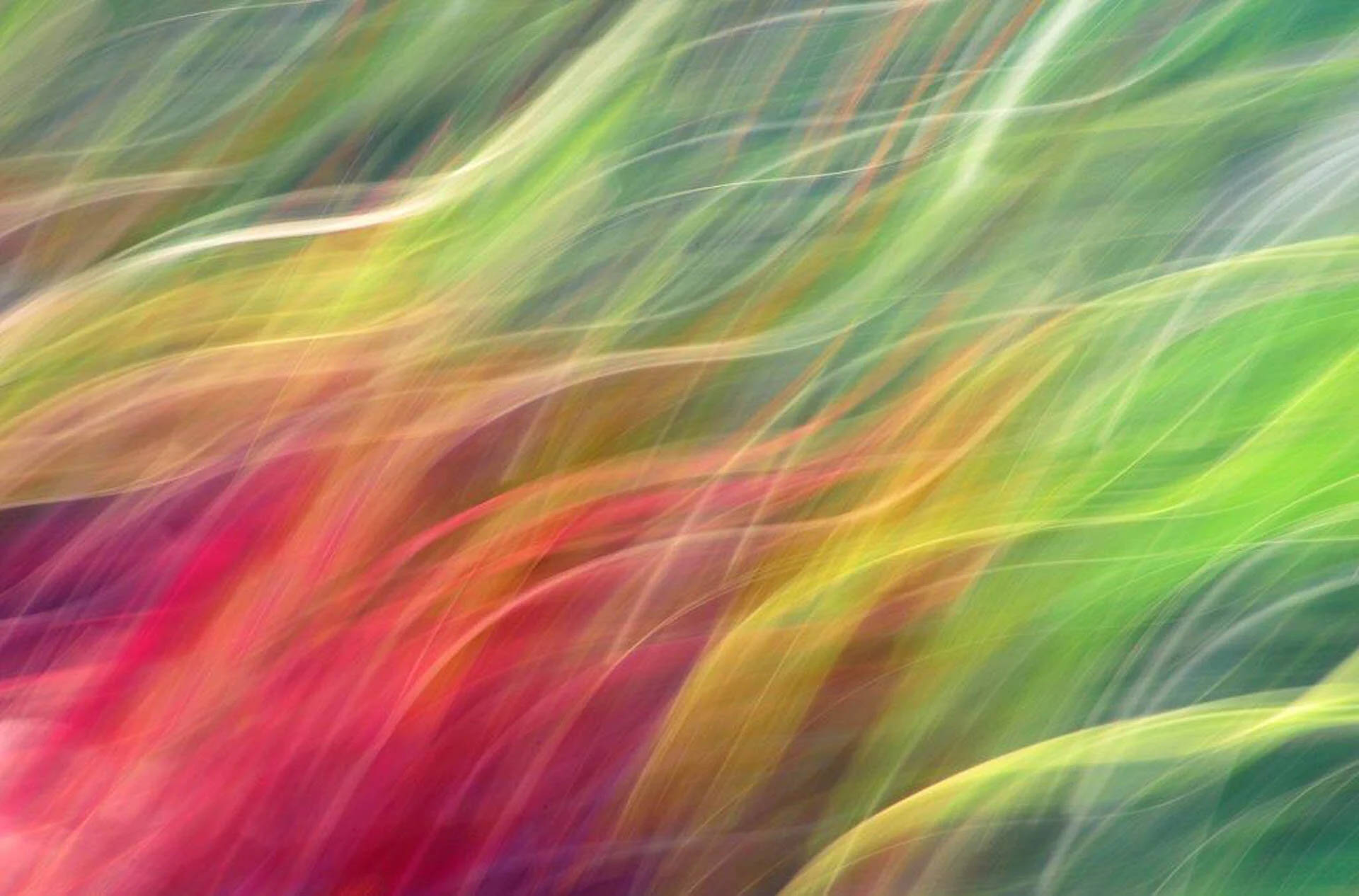 Abstract image with colorful blurred streaks in shades of green, yellow, and red.