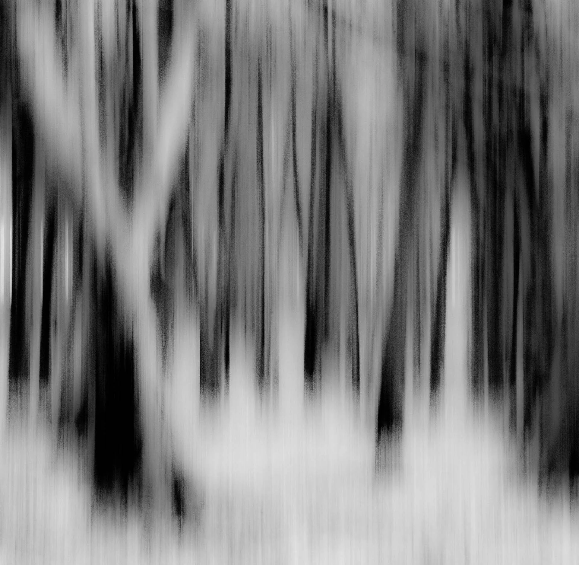 Blurred black and white image of vertical lines resembling a forest scene with trees.