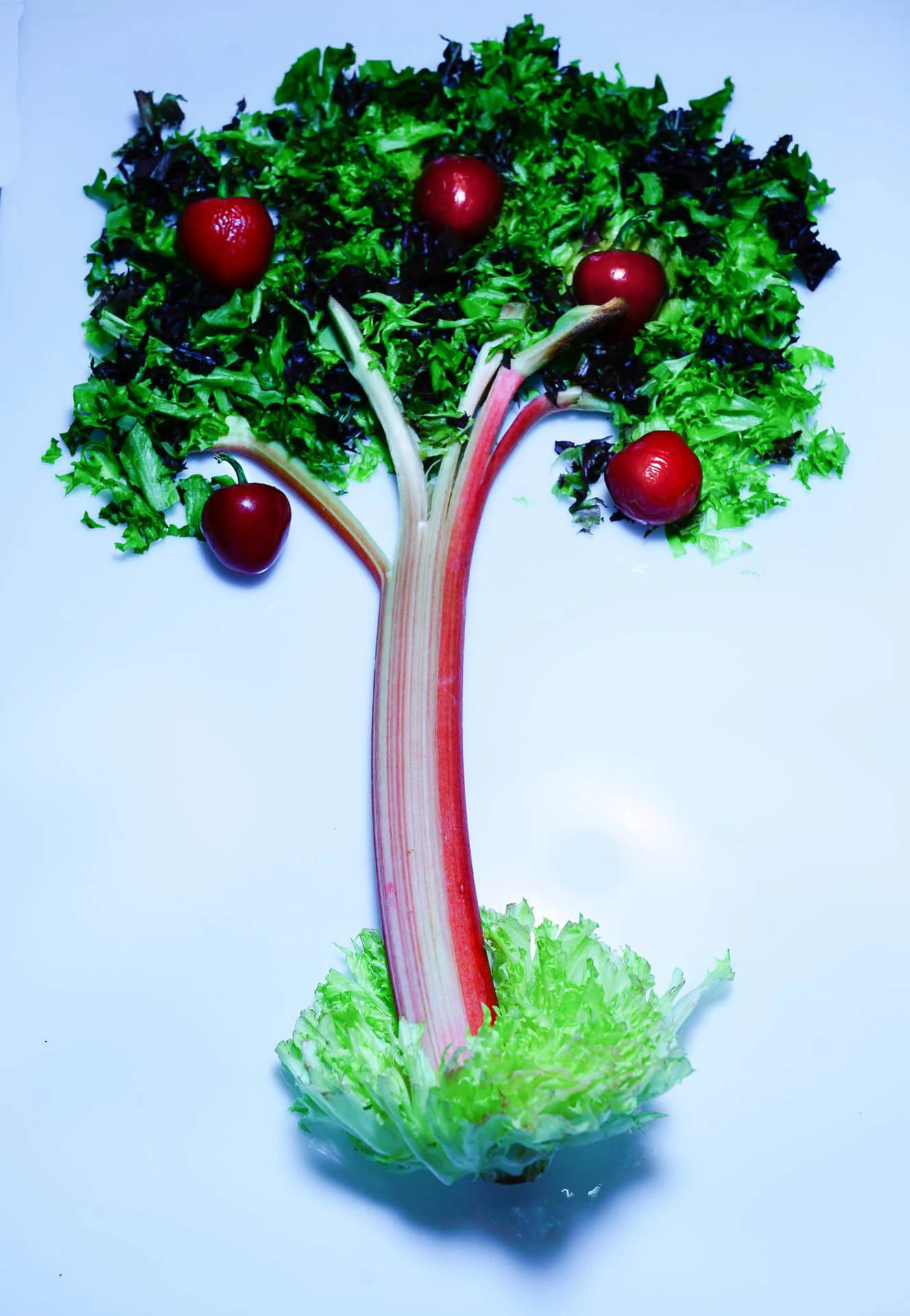 Vegetable sculpture of a tree made from lettuce, rhubarb, and cherry tomatoes on a white background.