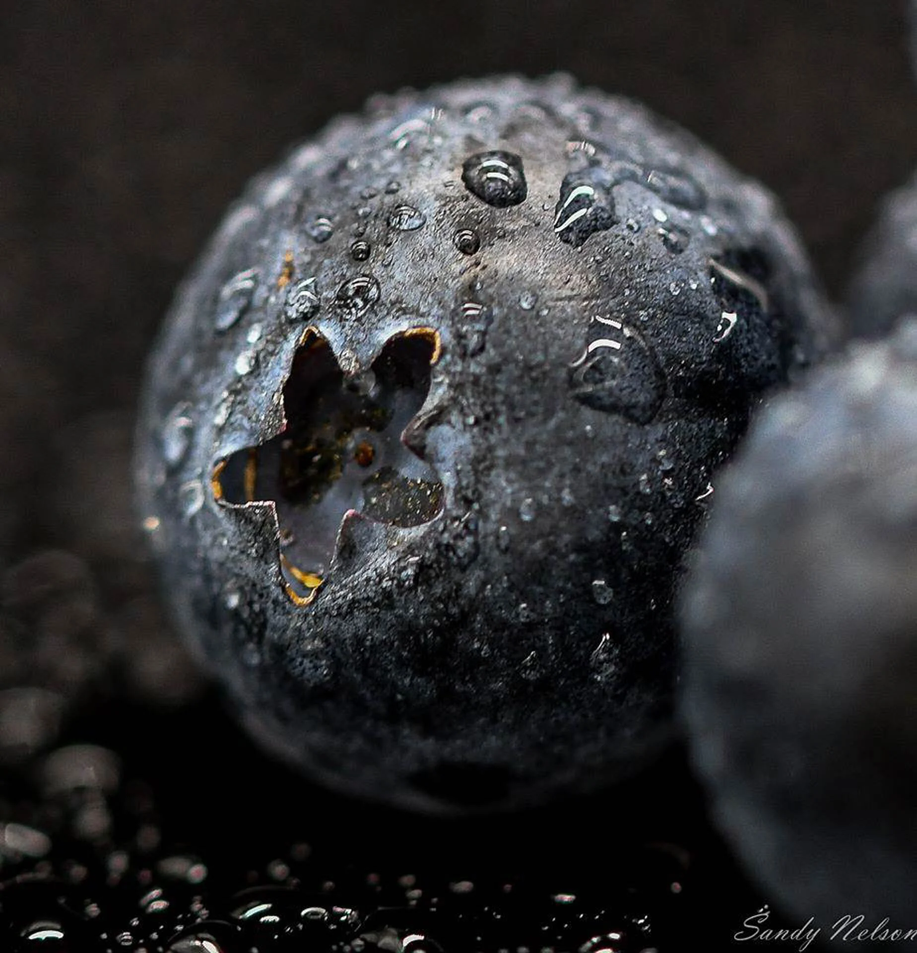 Close-up of a dewy blueberry on a dark background.