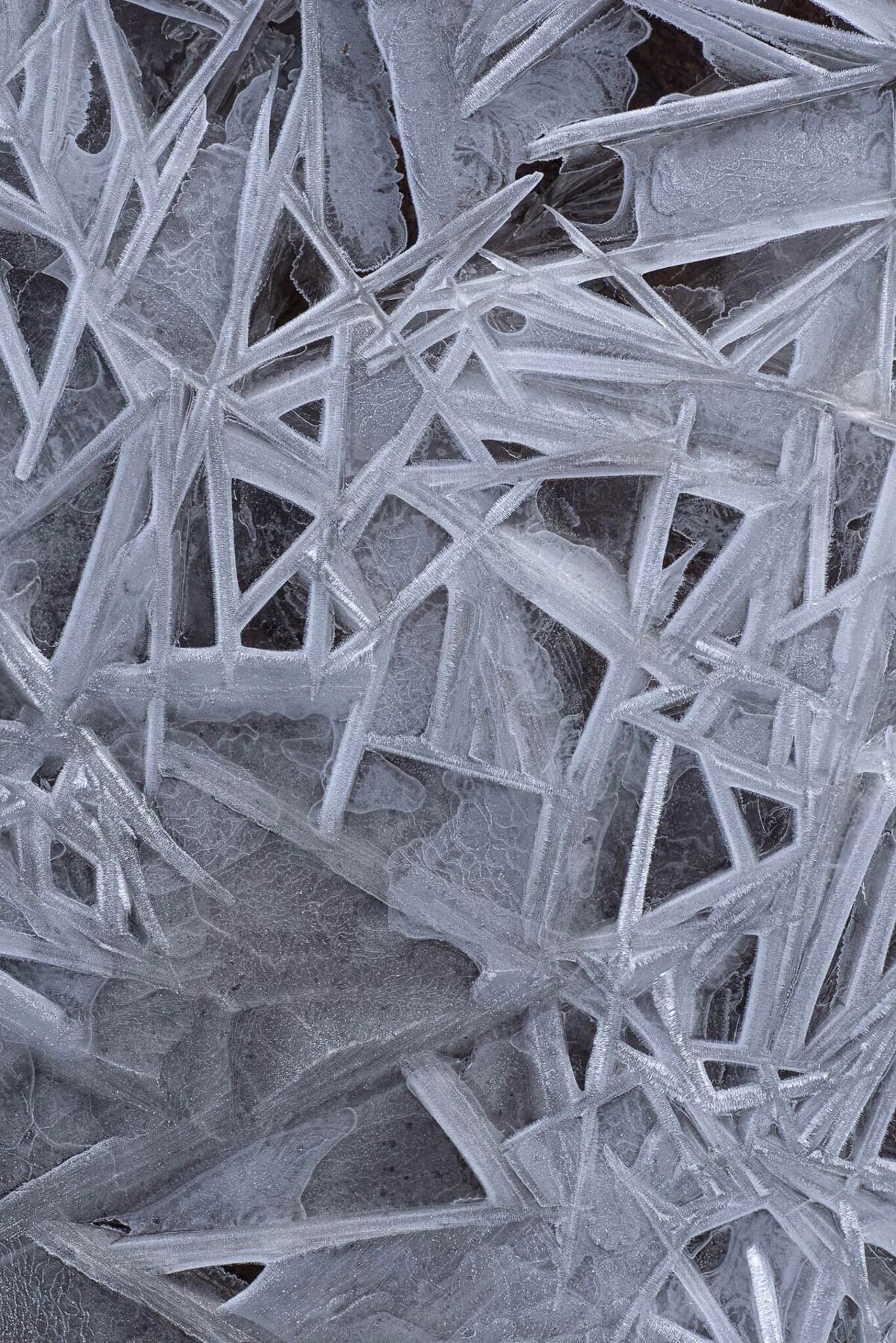 close-up of intricate ice crystal patterns on a surface