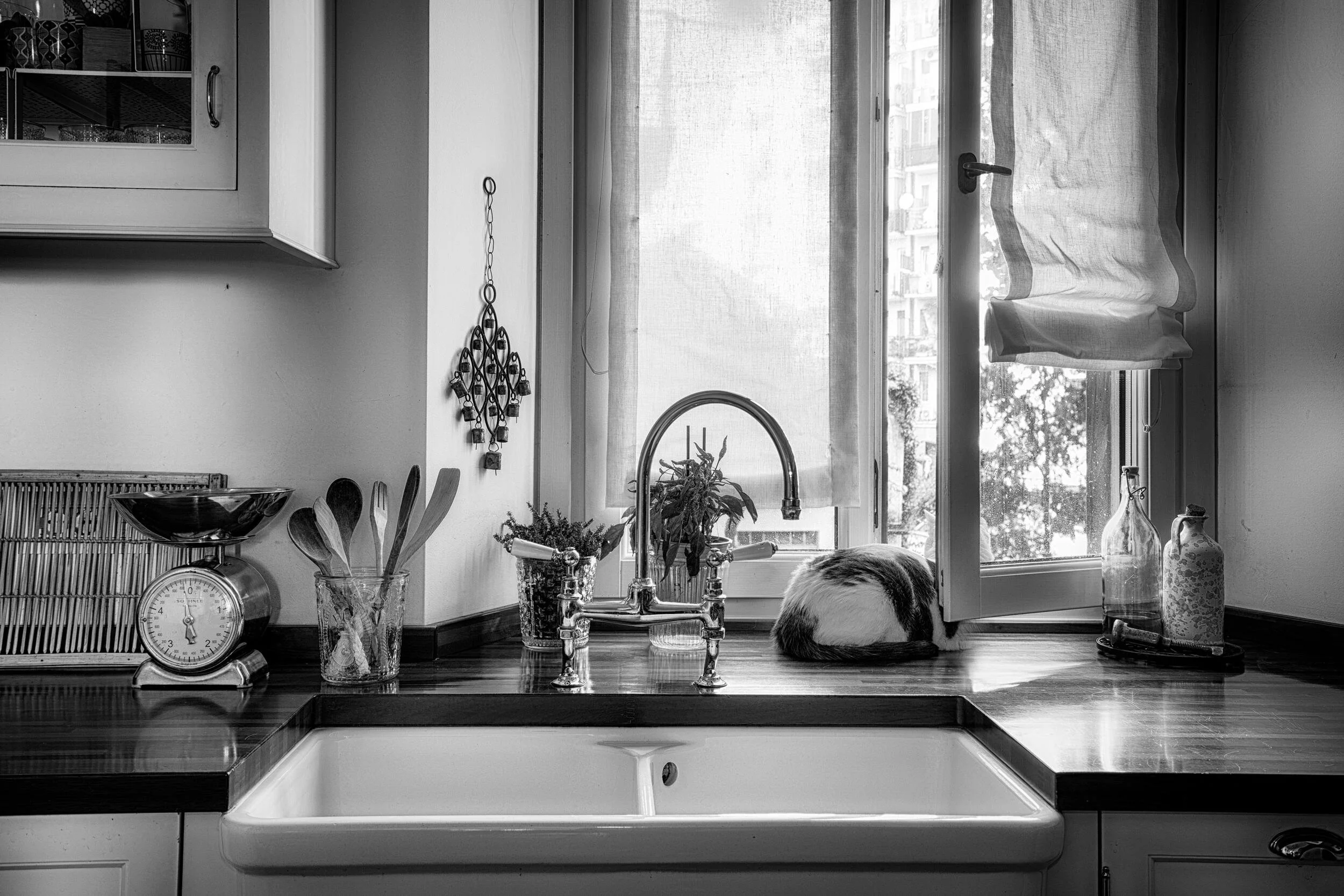 Black and white kitchen scene with a farmhouse sink, retro scale, wooden cooking utensils in a jar, potted herbs, a sleeping cat on the windowsill, bottles, and an open window curtain.