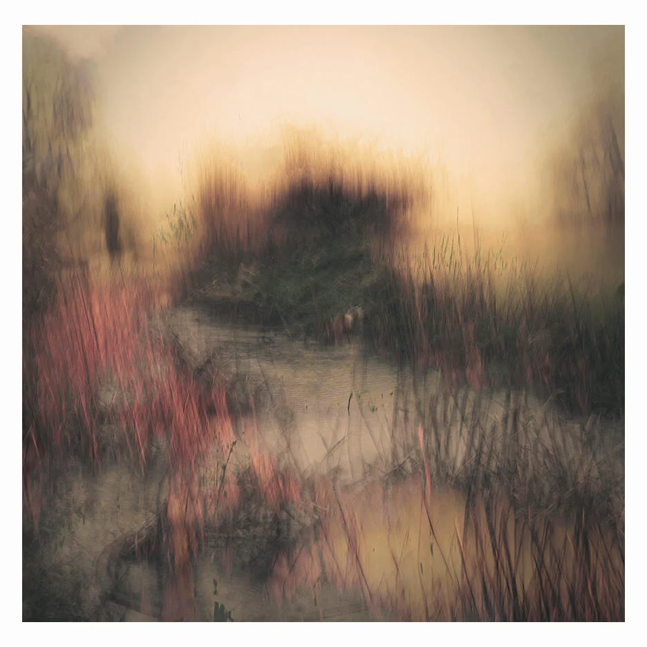 Abstract landscape with blurred colors of reeds, water, and sky creating a dreamy effect.