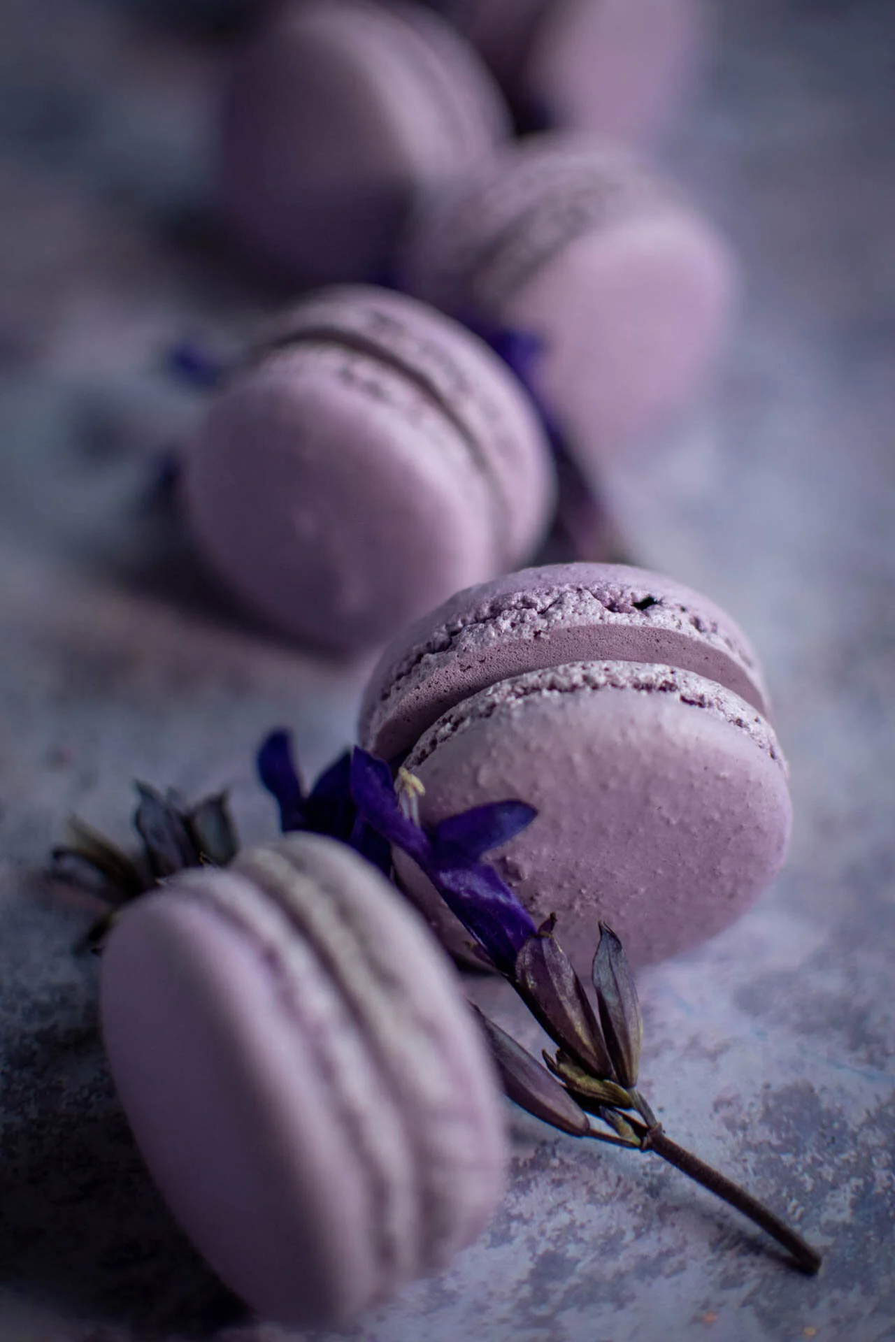 Purple macarons with lavender flowers on a textured surface.
