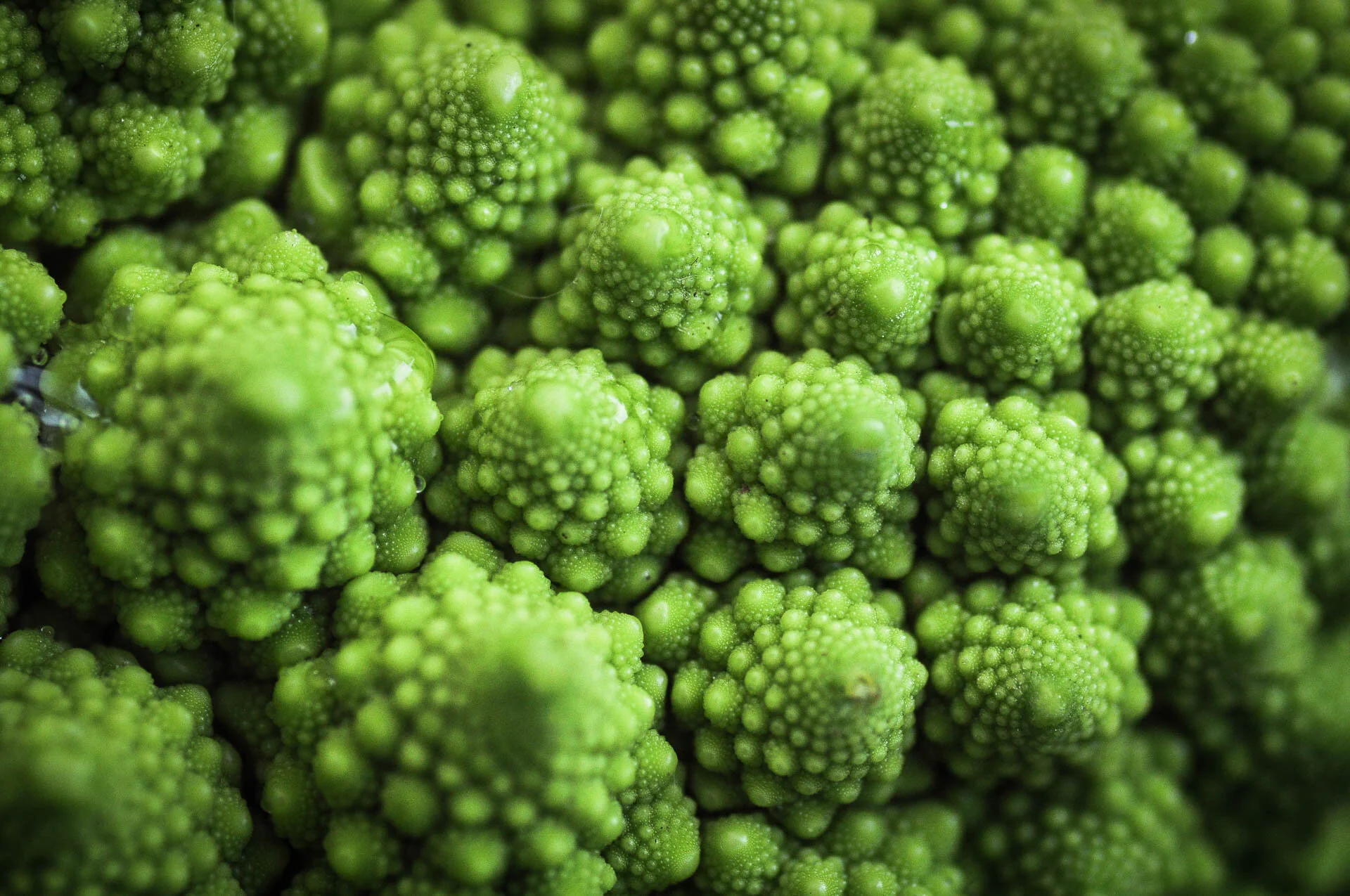 Close-up of Romanesco broccoli with fractal patterns.