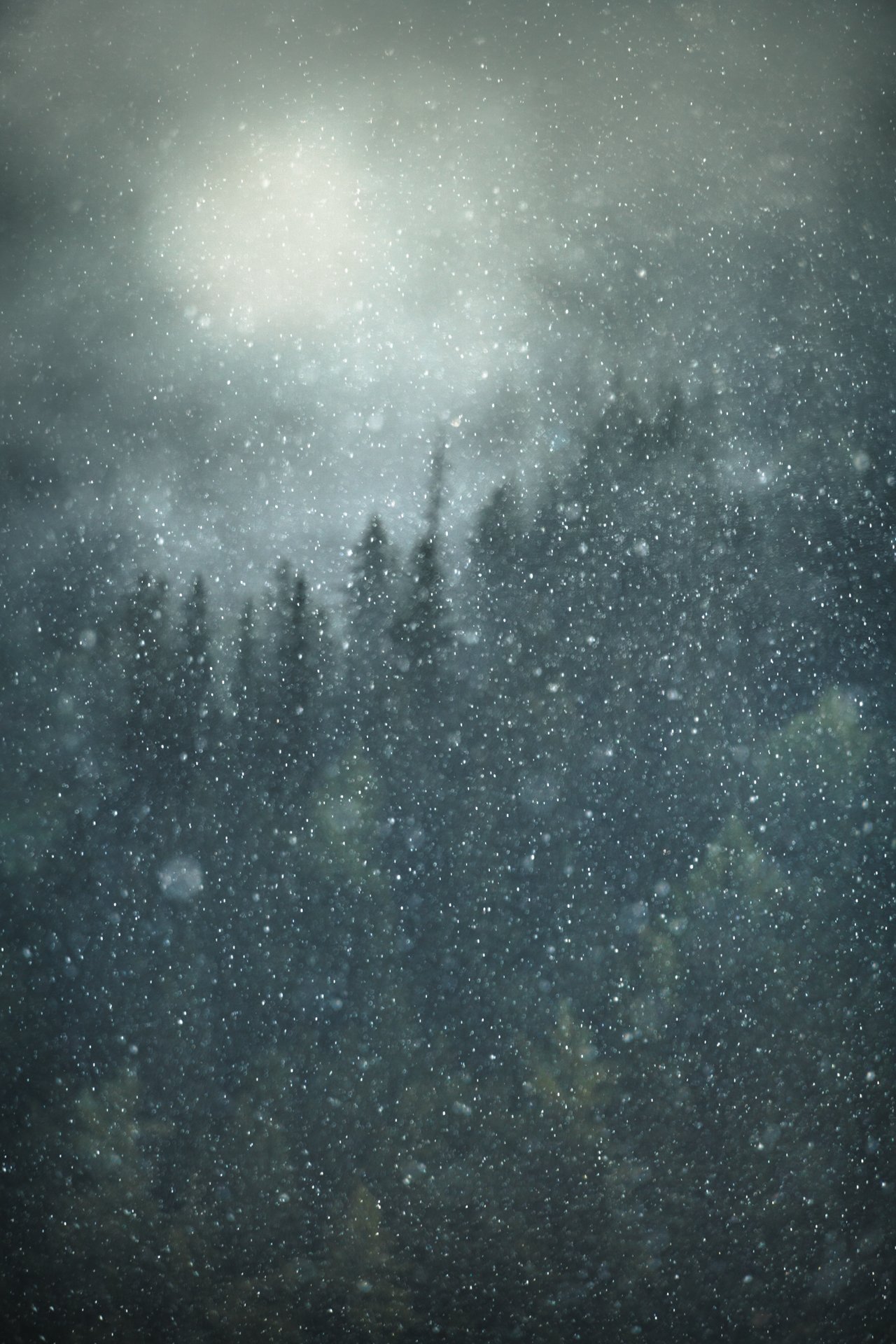 Snow falling in a dark, foggy forest with visible silhouettes of tall trees.