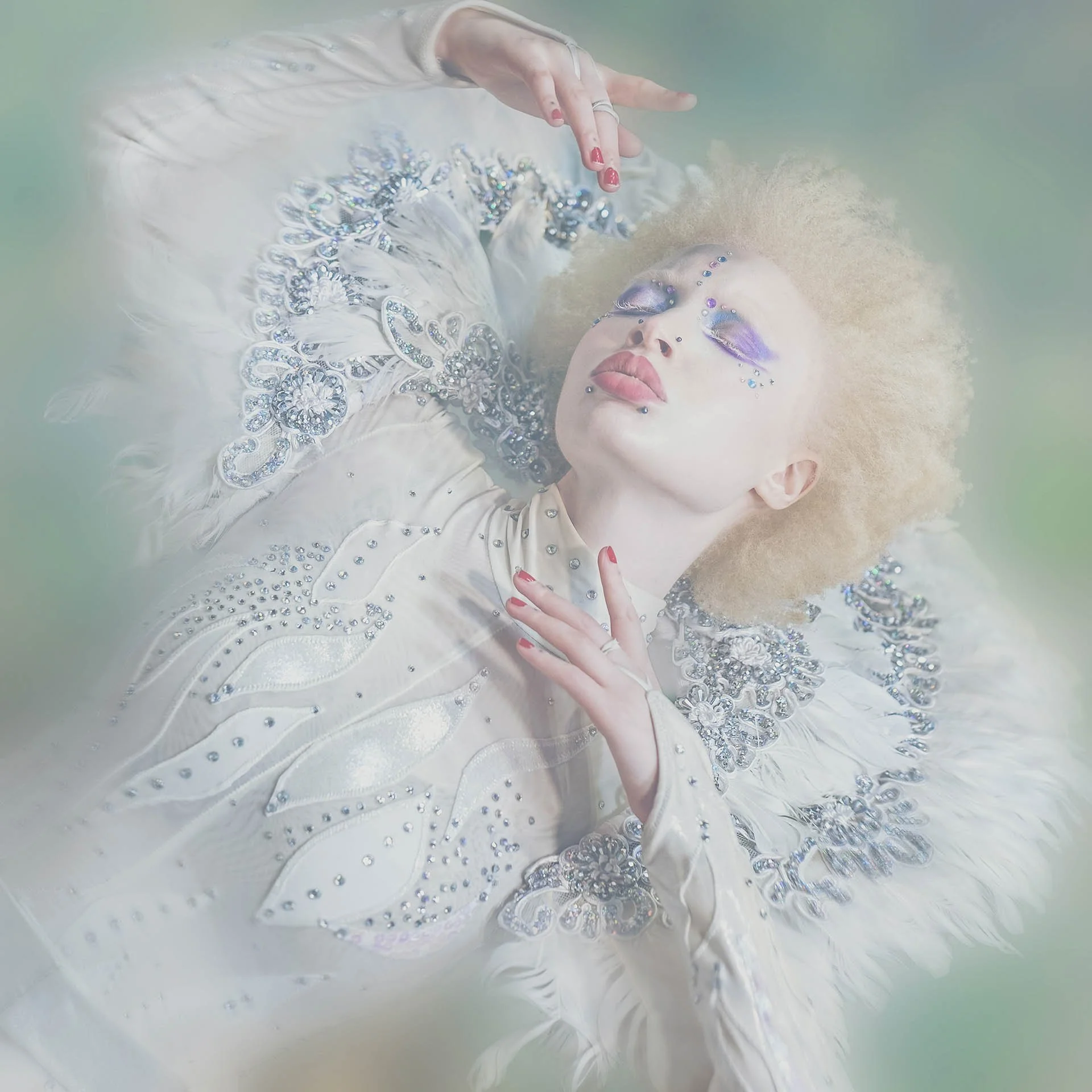 Sarah Williams Longes