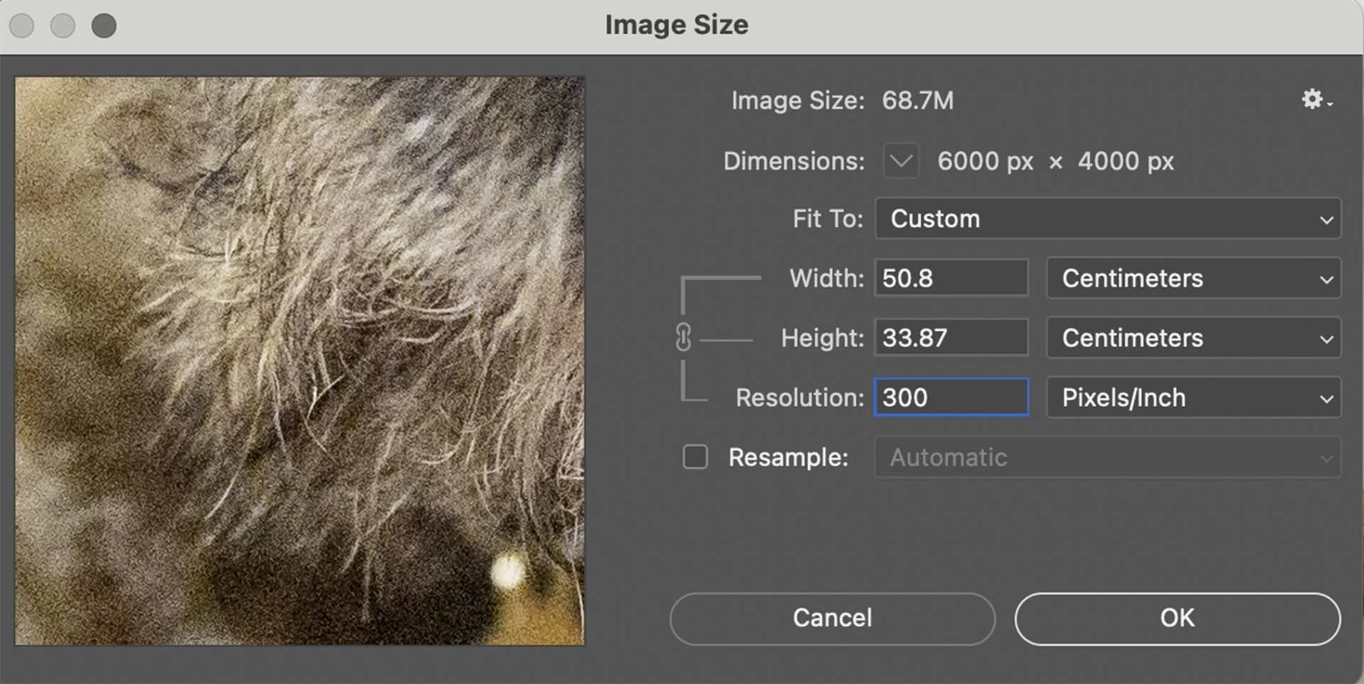 At 300PPI the same 6000 x 4000 pixel image would 'measure' 50.9 x 33.87cm.