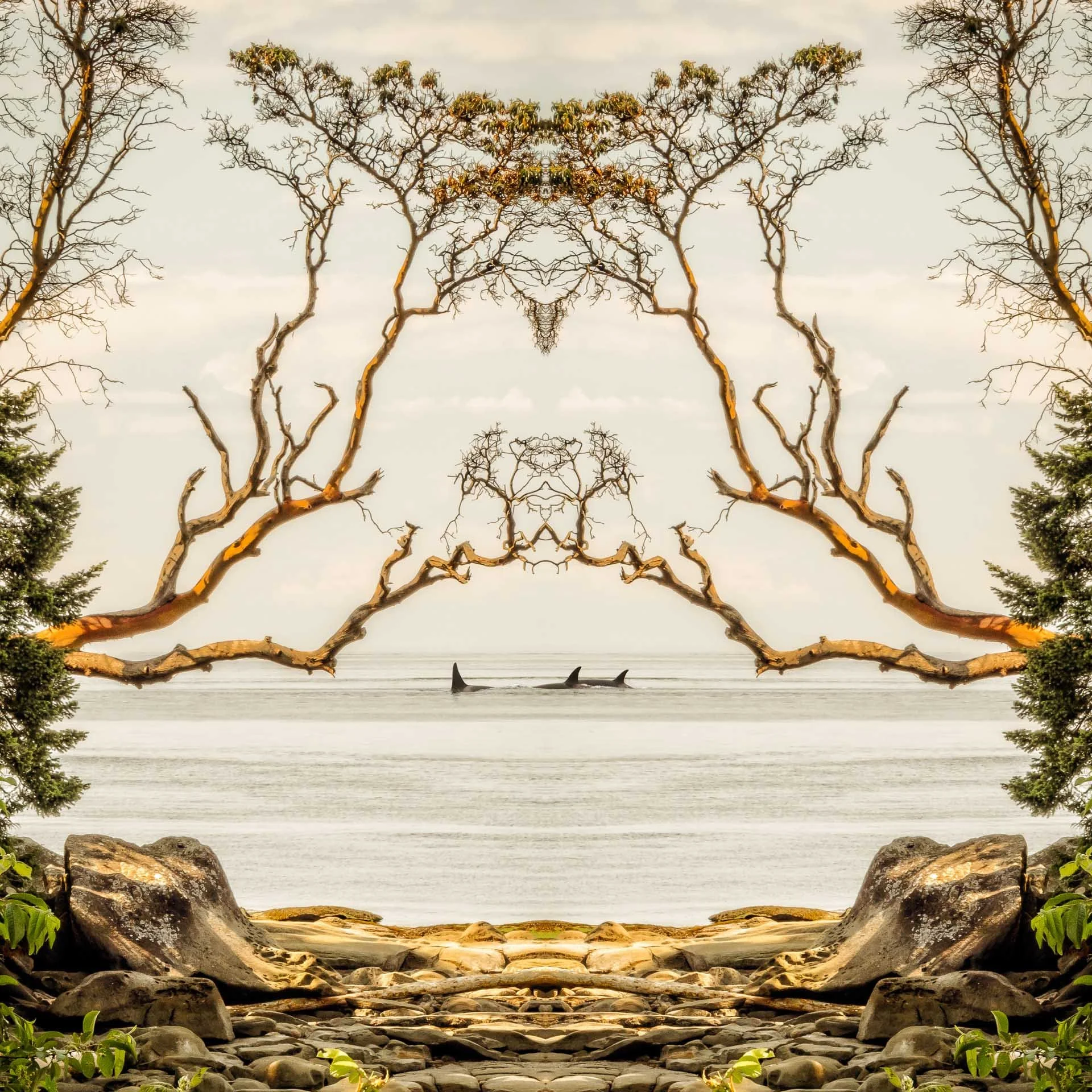 Judy Hancock Holland