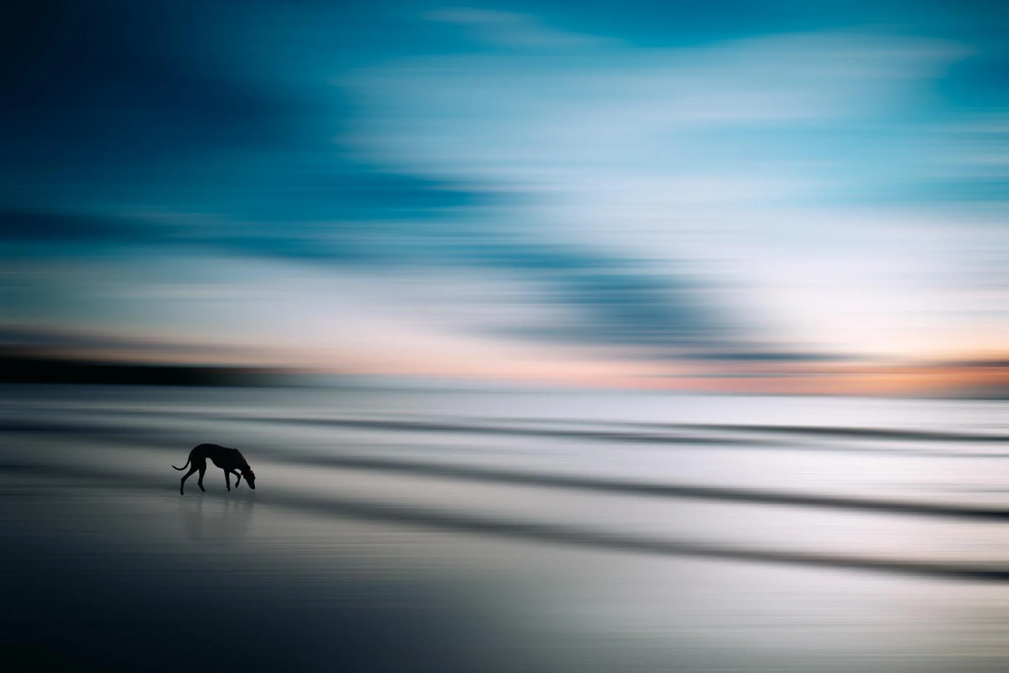 Chantal Macleod-Holdsworth