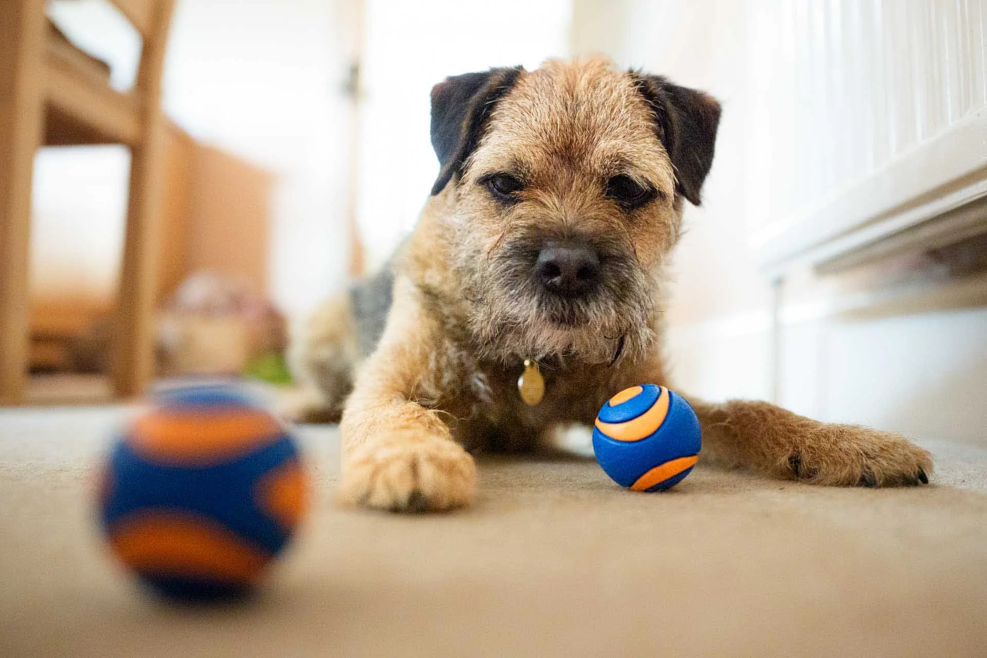 This images is 1920 x 1080 pixels in size and looks perfectly sharp for online viewing.